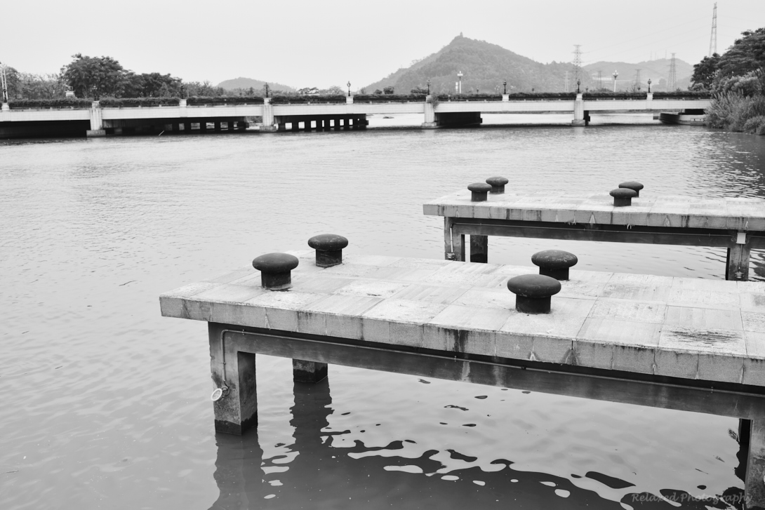 B and W Tiffs 8.jpg