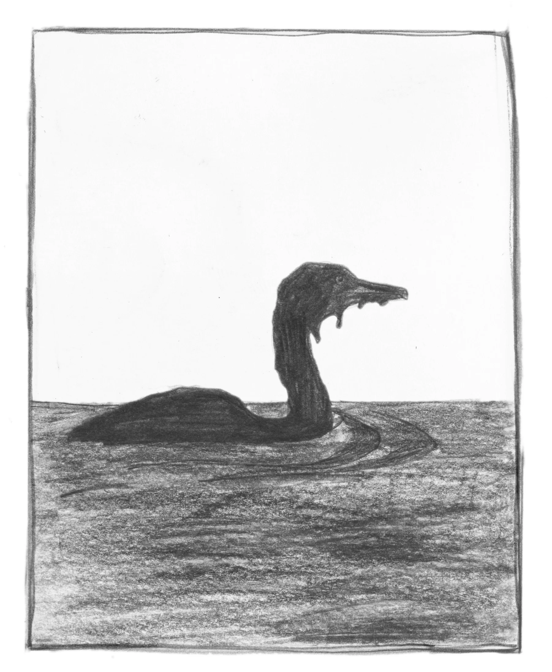 CormorantMarianRunk.jpg