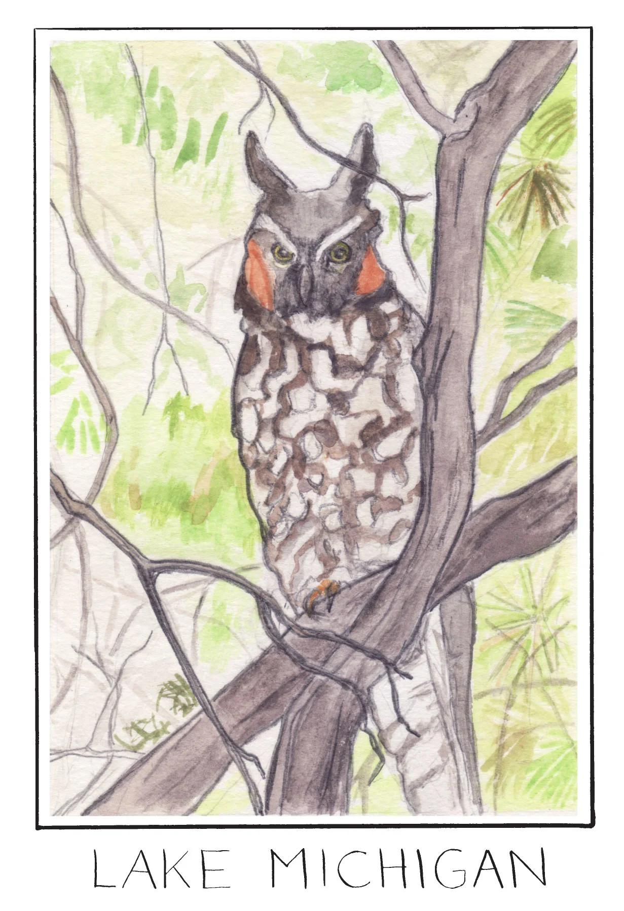 longearedowl_MarianRunk.jpg