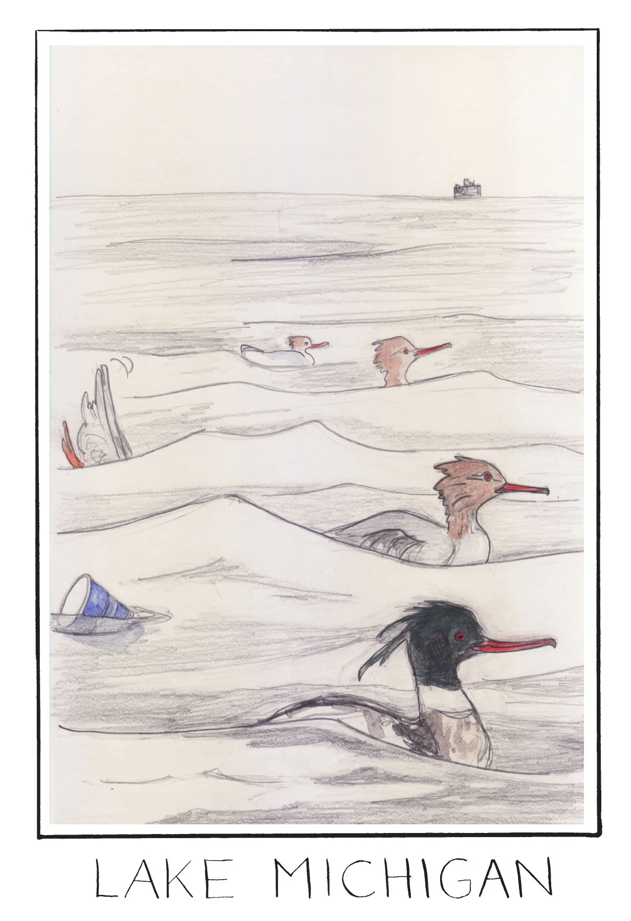 mergansers_MarianRunk.jpg