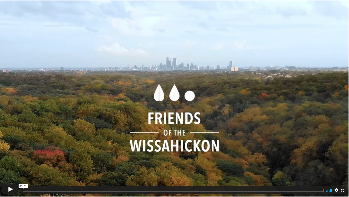 Screen Shot 2021-11-17 at 3.36.49 PM.png