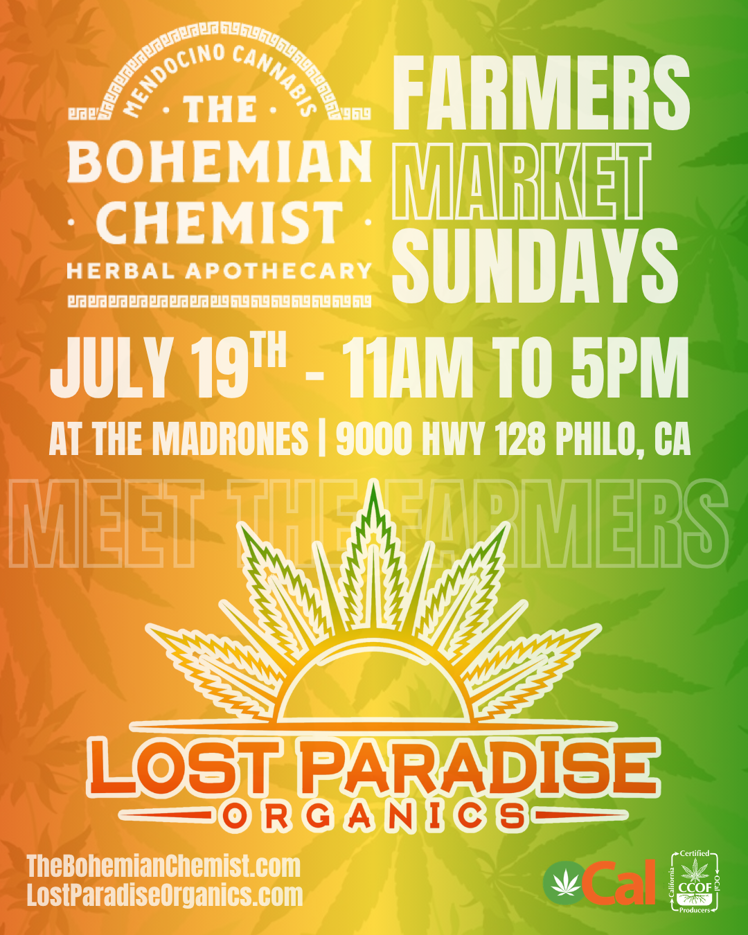 Join Lost Paradise Organics at The Bohemian Chemist Farmer's Market - July 2026