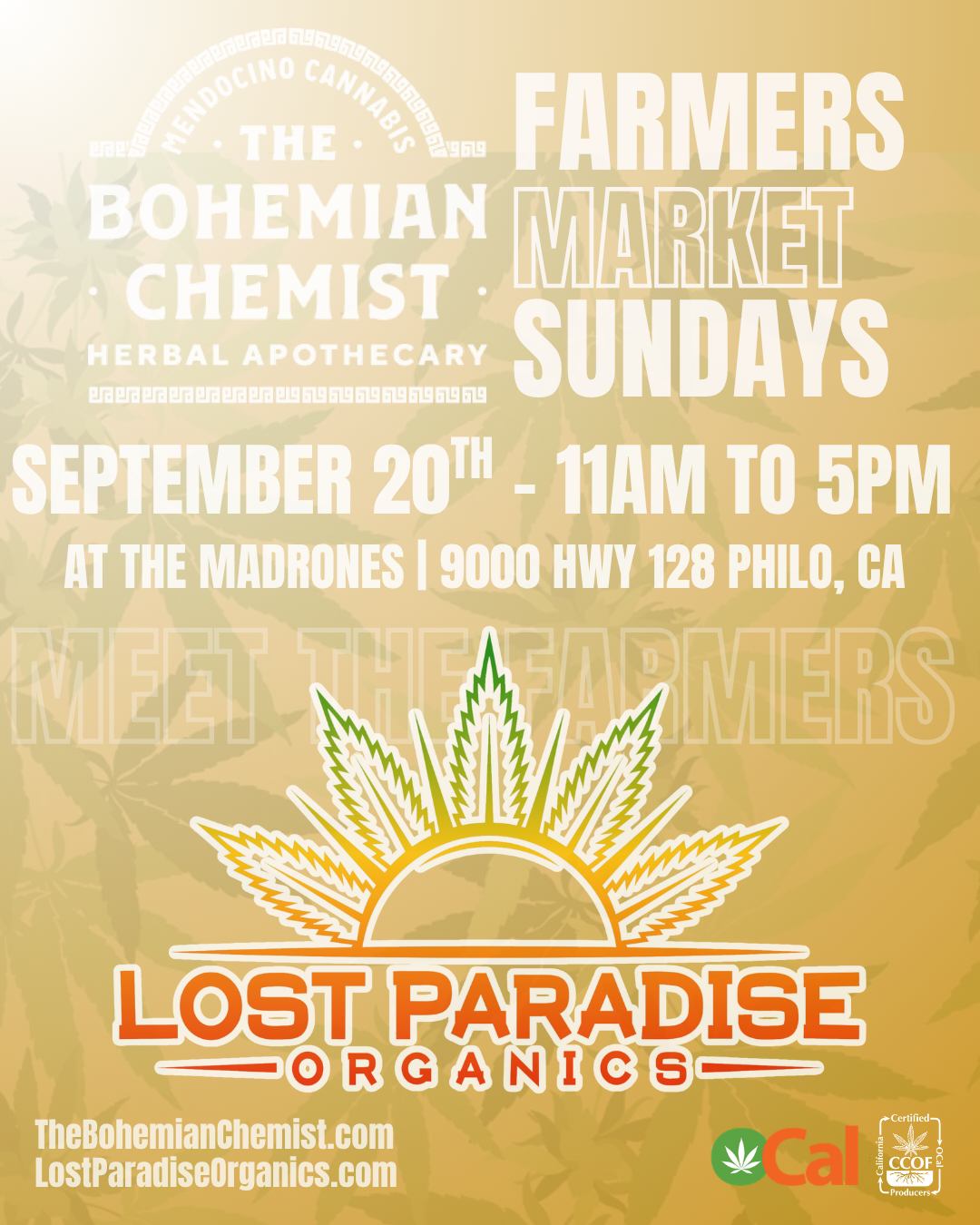 Join Lost Paradise Organics at The Bohemian Chemist Farmer's Market - September 2026