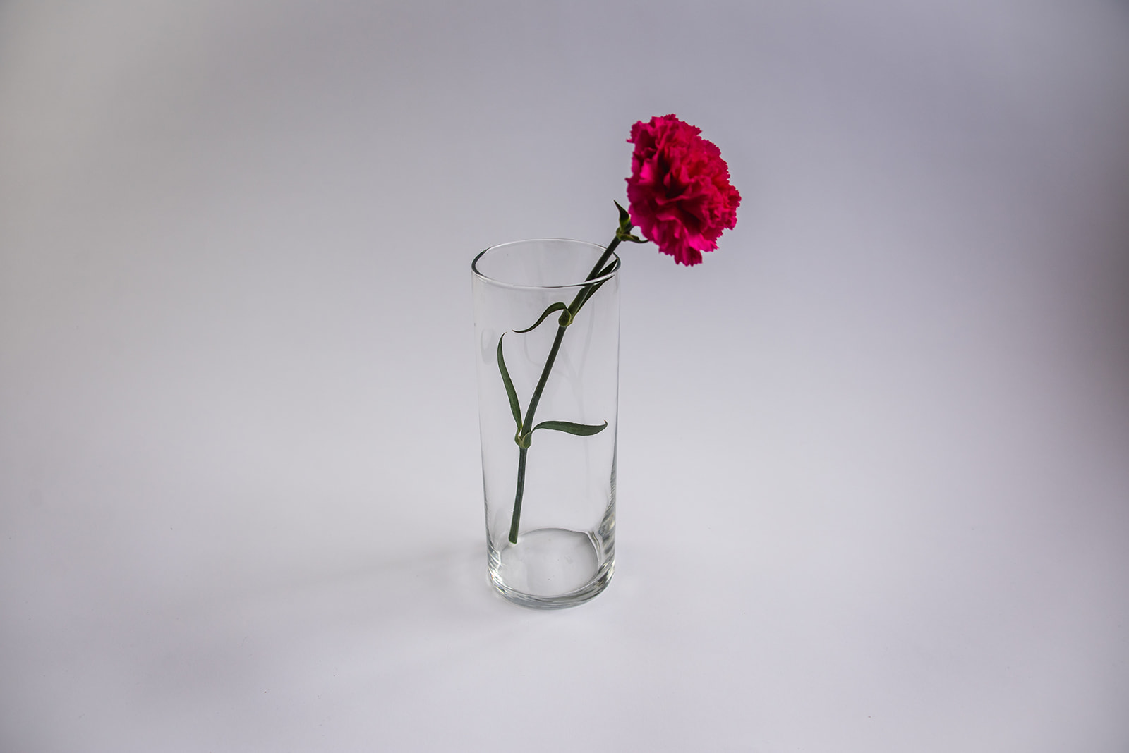 Clear Vases (9" H)