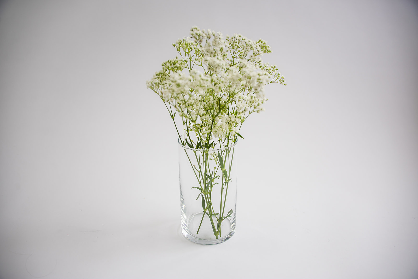 Clear Vases (6" H)