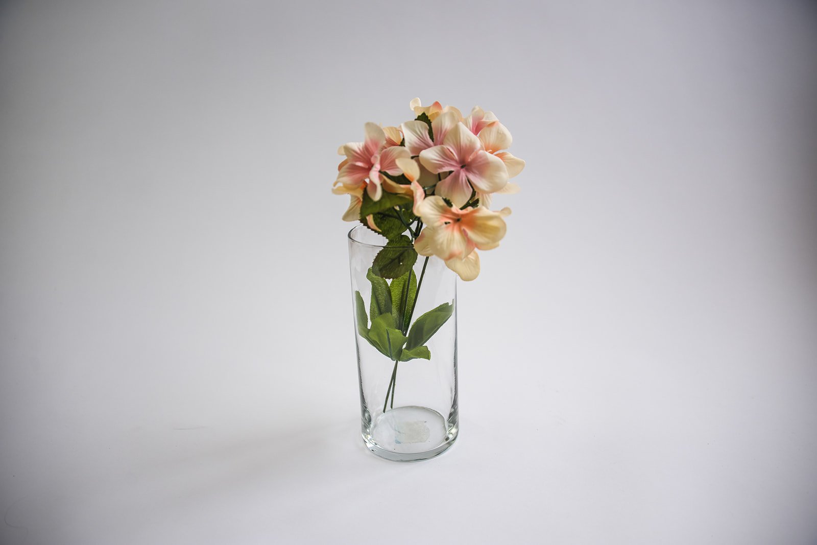 Clear Vase (7.5" H)