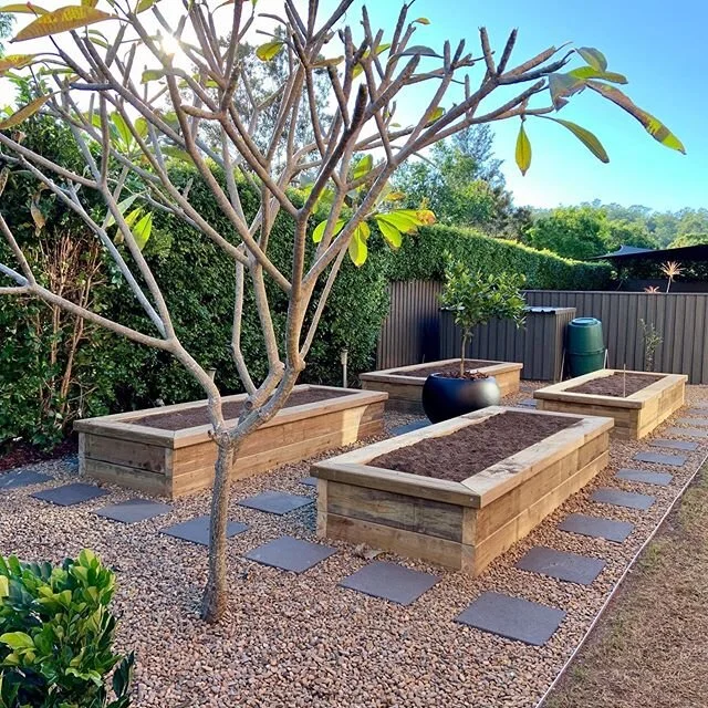One of my smaller projects last year but definitely becoming one of my favourites. Just like having a beautiful back yard, garden or lawn growing your own fruit and vegetables at home is something that can be very rewarding. After my recent trip back