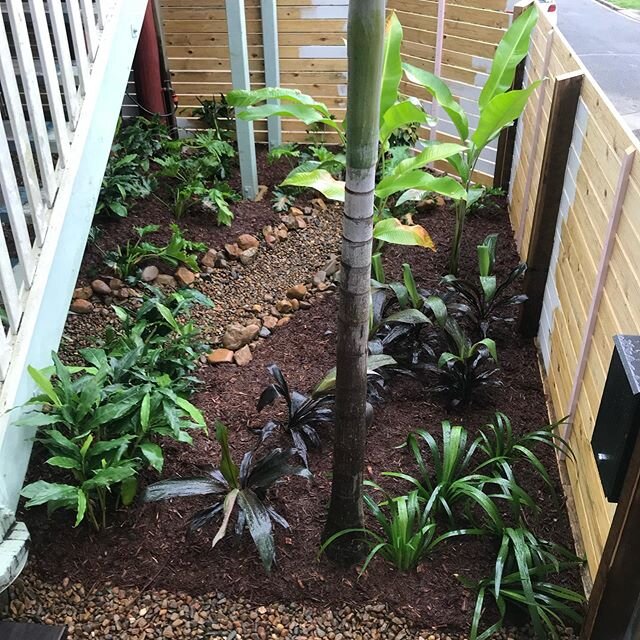 SWIPE RIGHT ➡️ to see the makeover:

Our job in Red Hill a few years back. A low maintenance dry creek bed. The site was tough with only 1m side access and a number of stairs to climb to the back yard. 
Many buckets later of material later, the finis