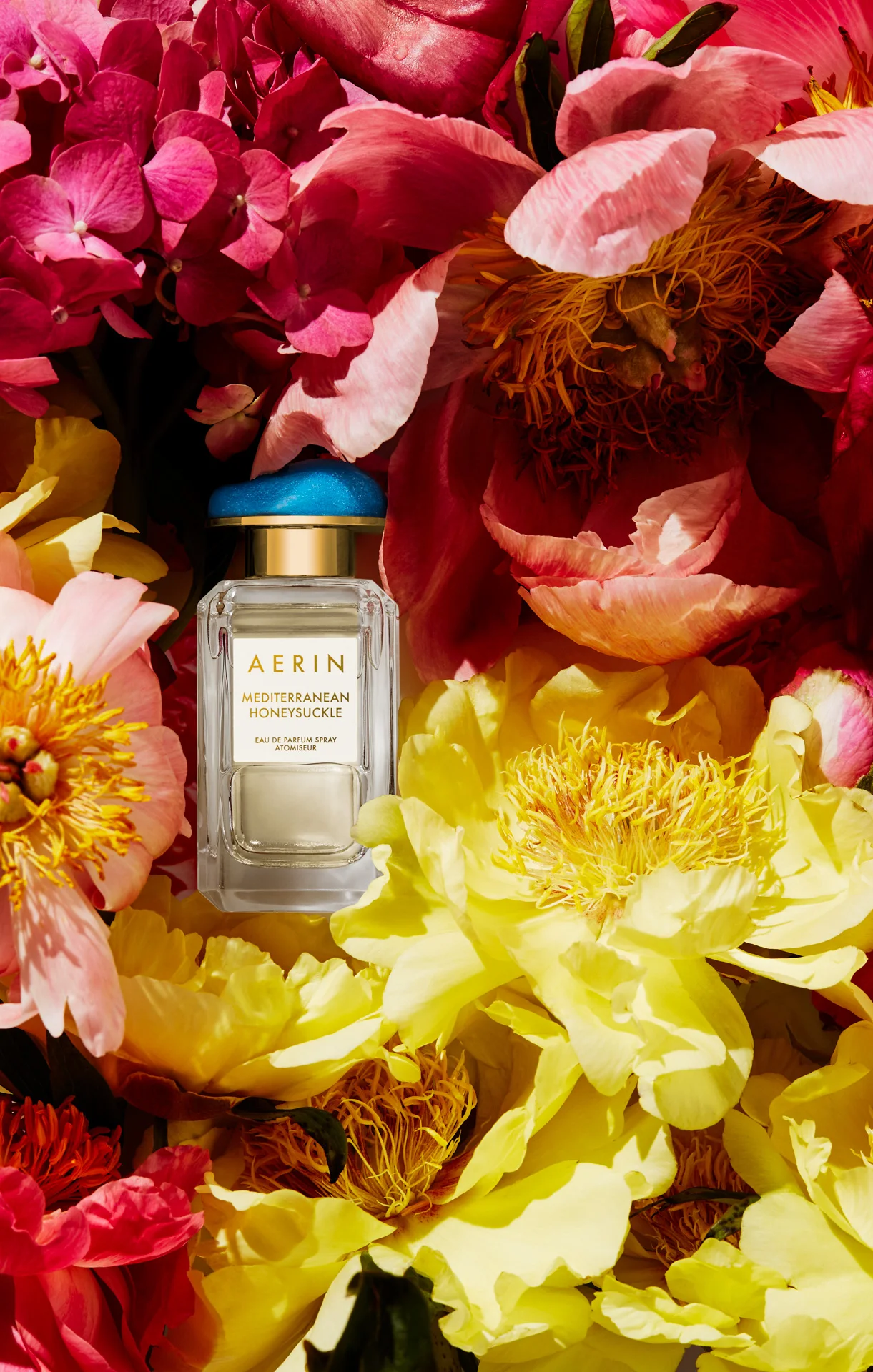 C158CC51-S03A-01A-Aerin.jpg
