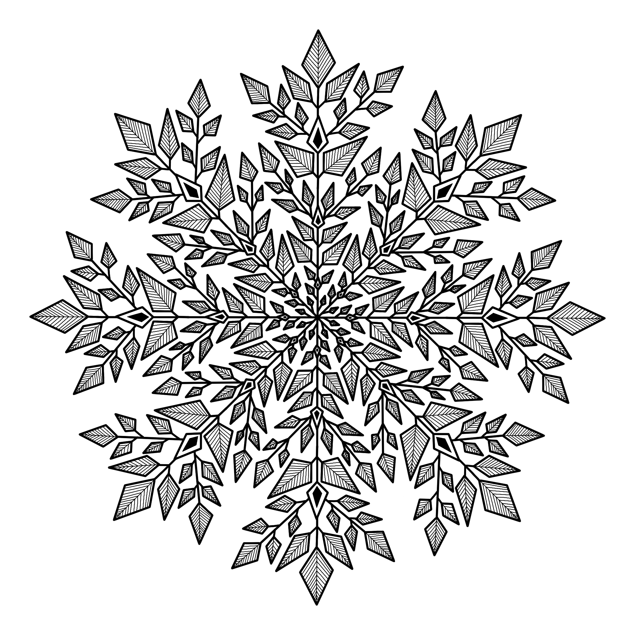 flp-snowflake.png