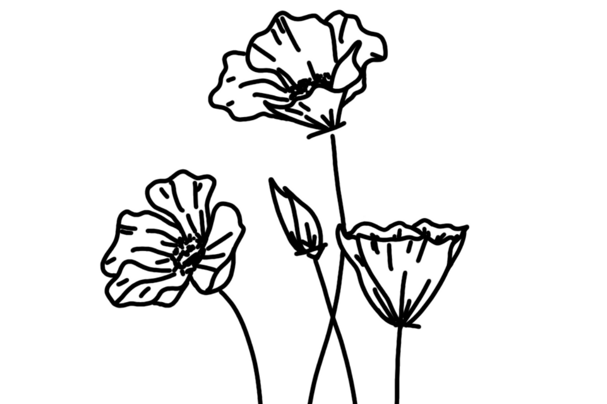 Free Poppy Pattern for Wood Burning — Wood Burn Corner