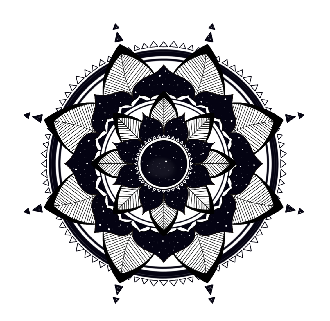 Space Petals Radial Symmetry Template