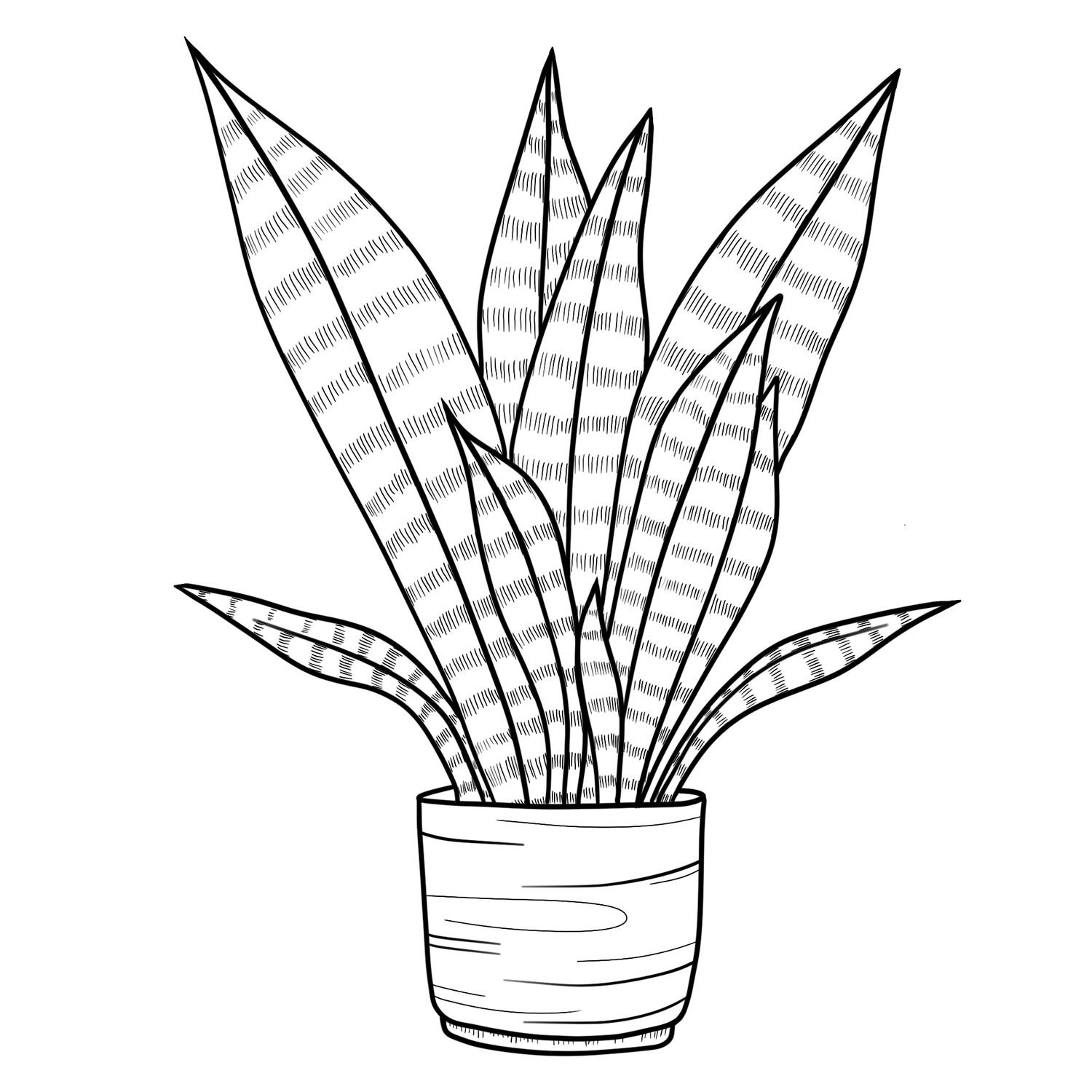 Snake Plant in a Pot Template  Wood Burn Corner