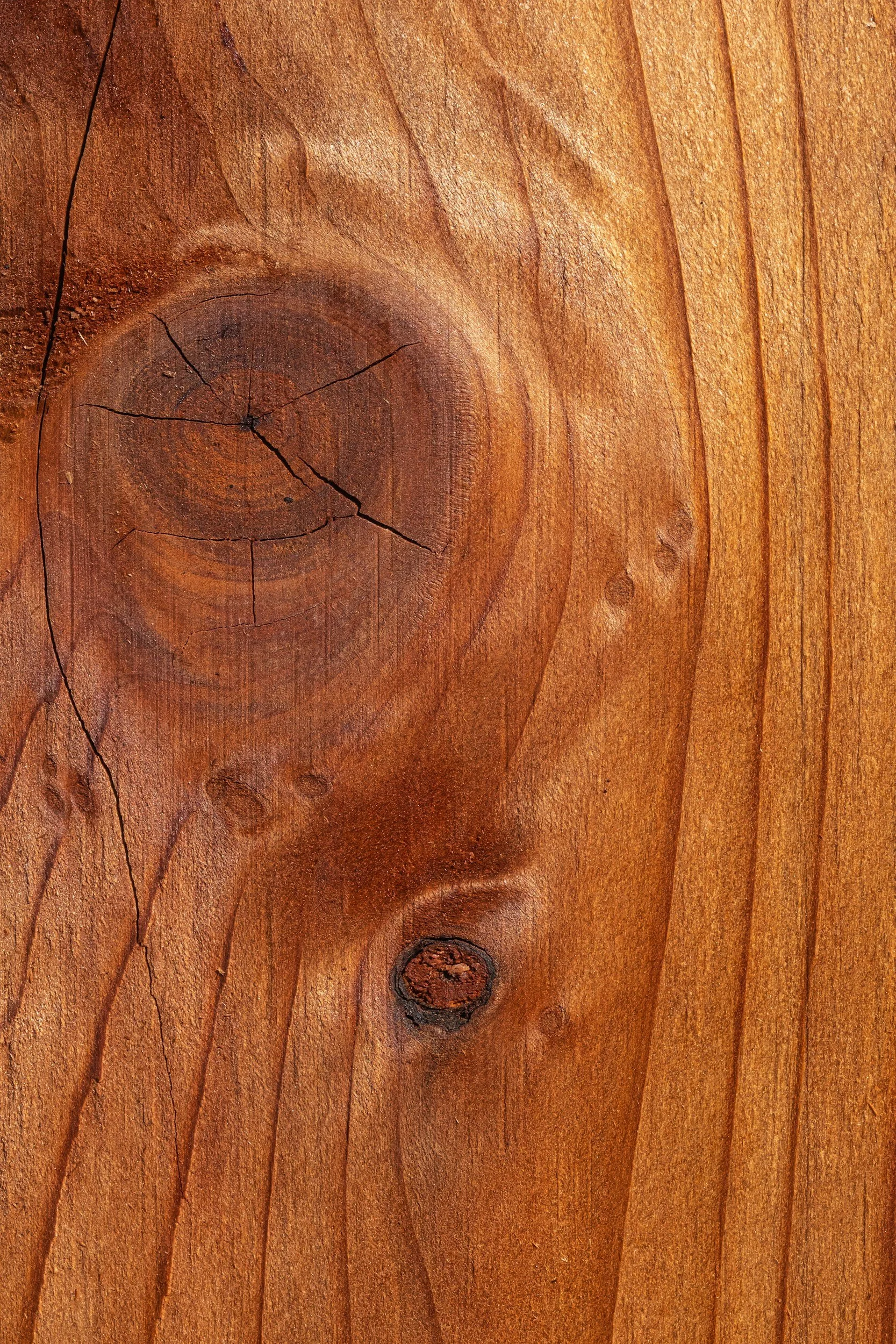 wood-grain-and-pyrography