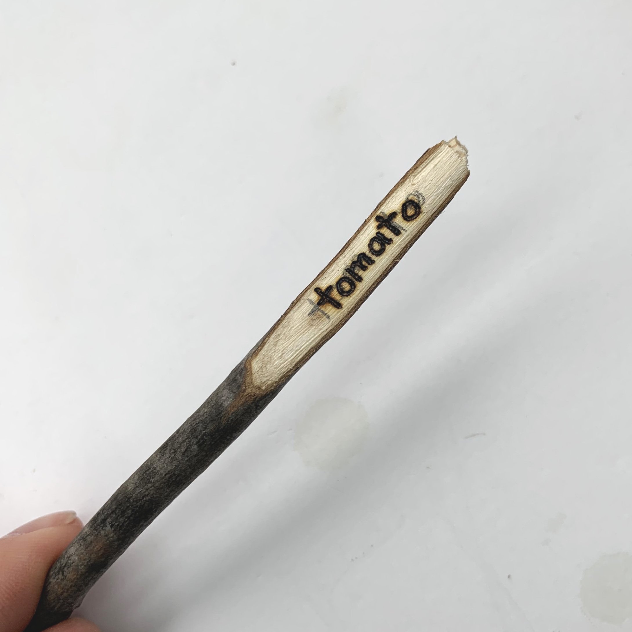 List of Beginner Pyrography Tools & Nibs 2024 [Updated] - Working the Flame