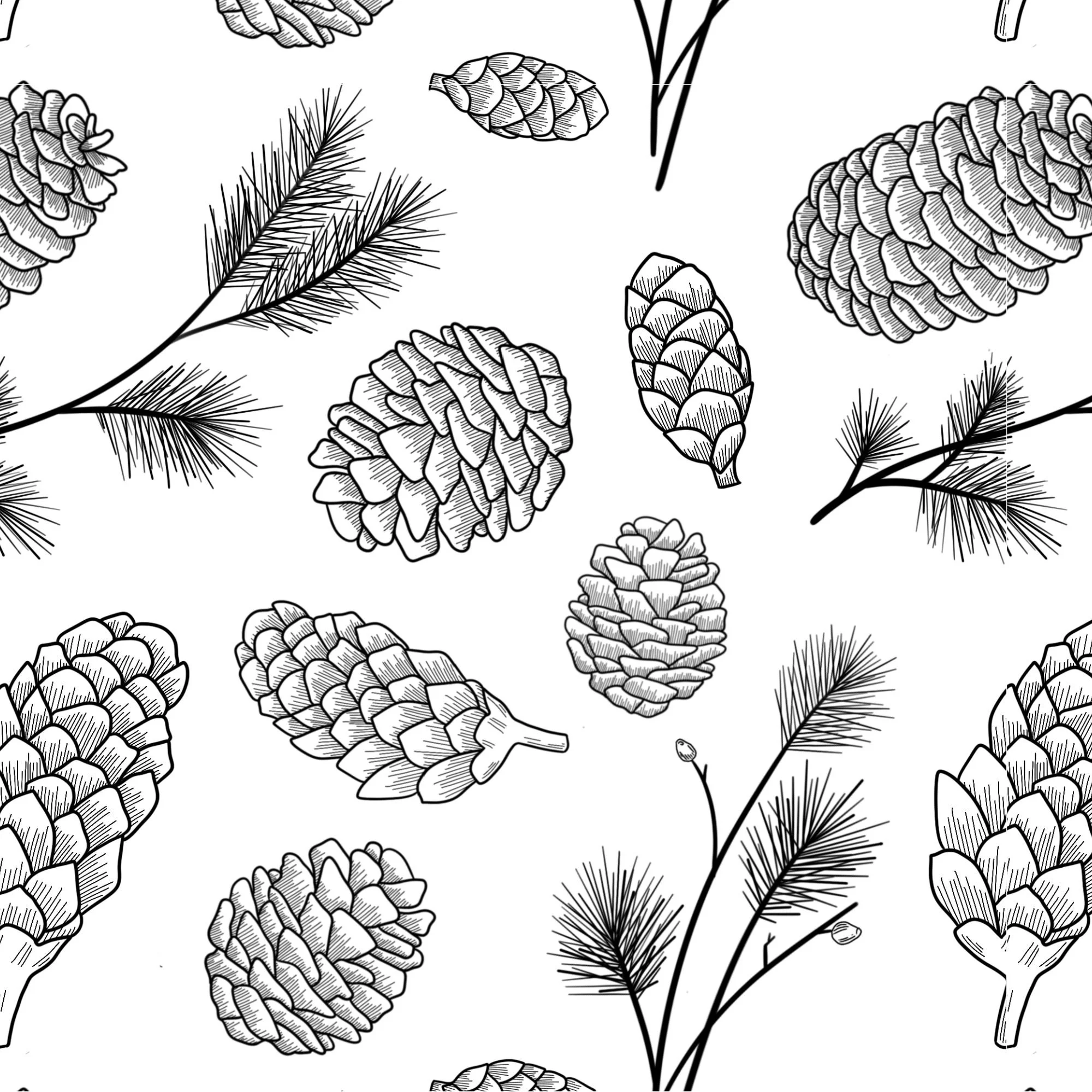 pinecones-sample.jpg