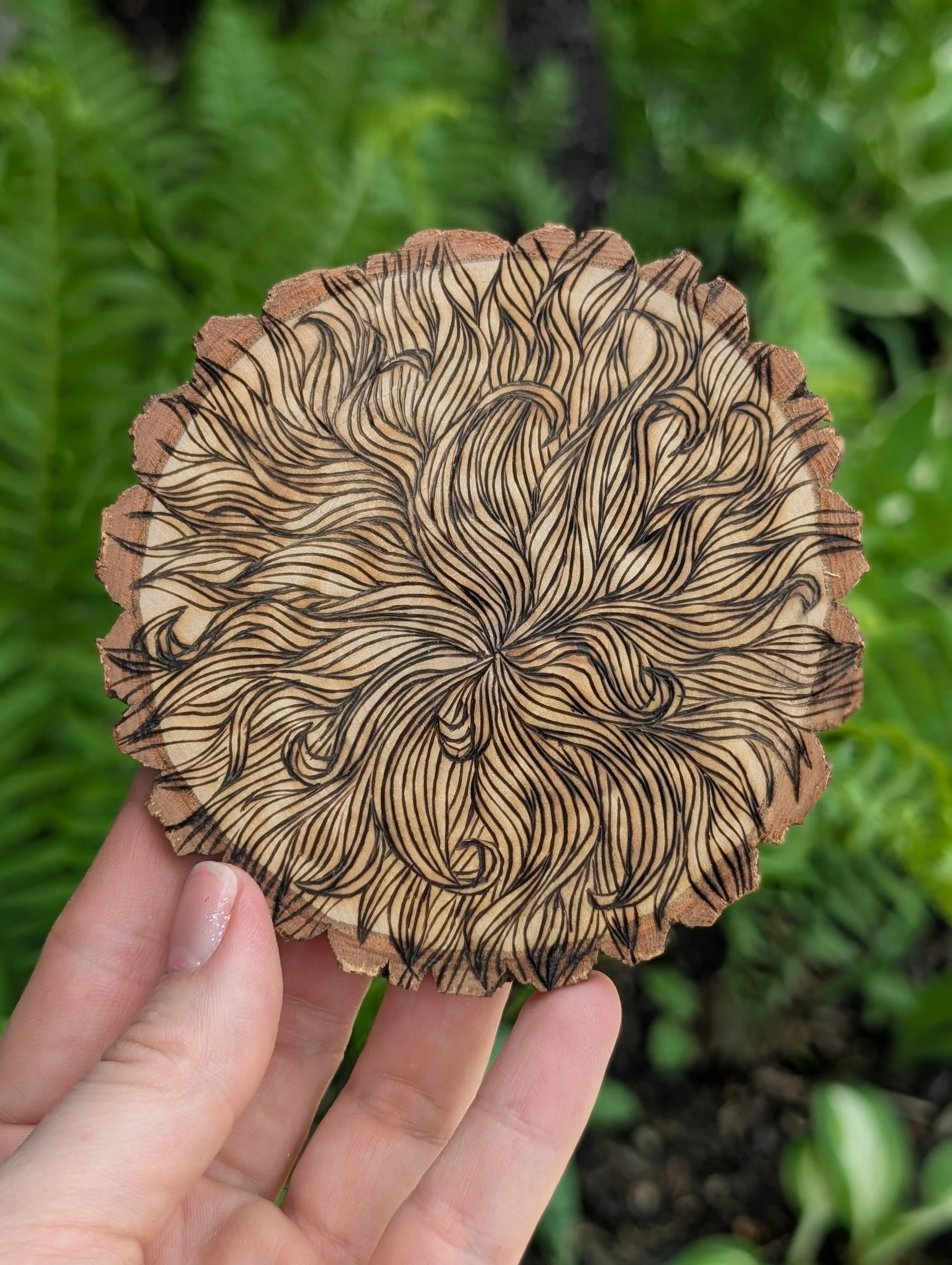burning-on-sourwood
