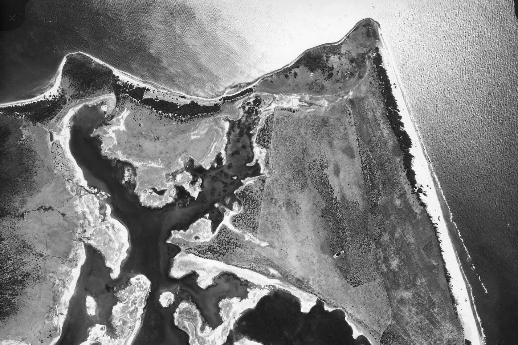 1979+Abbot+Point.jpg
