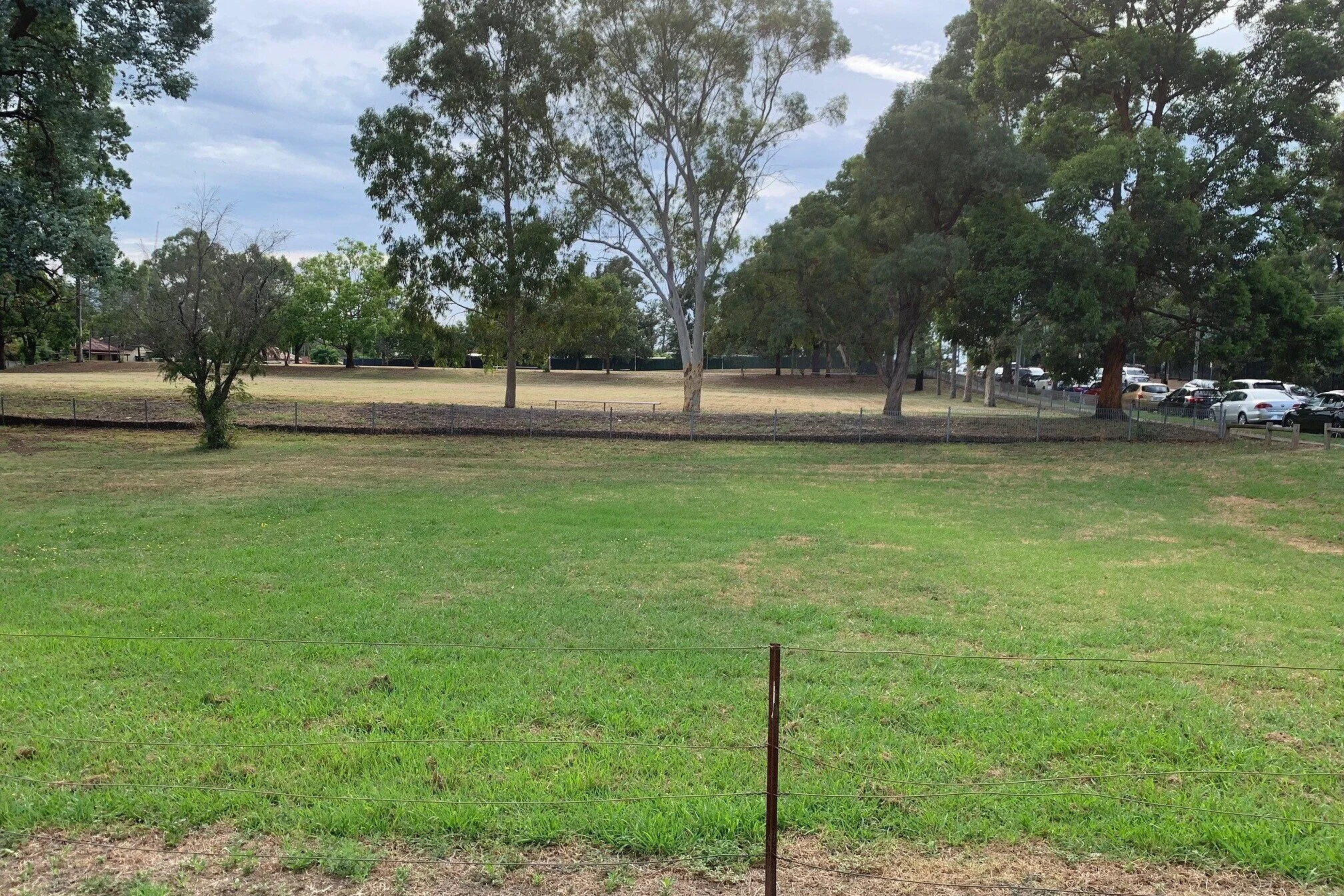 View+east+acrossBurra+Reserve+%28original+creekline%29+to+study+area.jpg