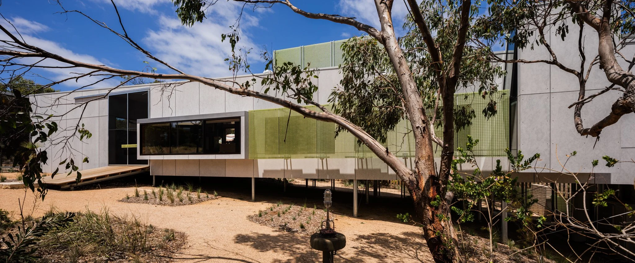 m3440_7481_7483_©Trevor Mein 2025.jpg