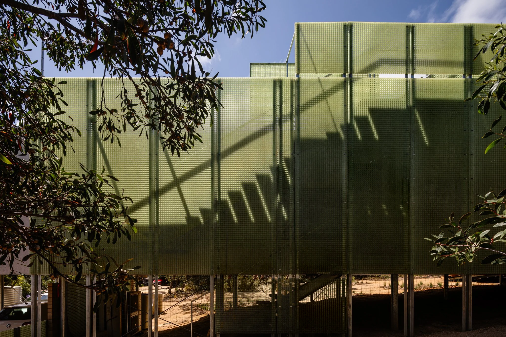 m3440_6789_©Trevor Mein 2025.jpg