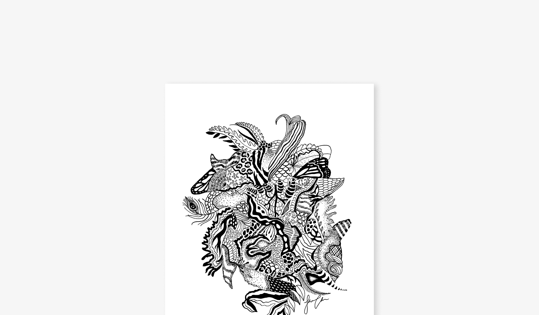 A Collection of Illustrations