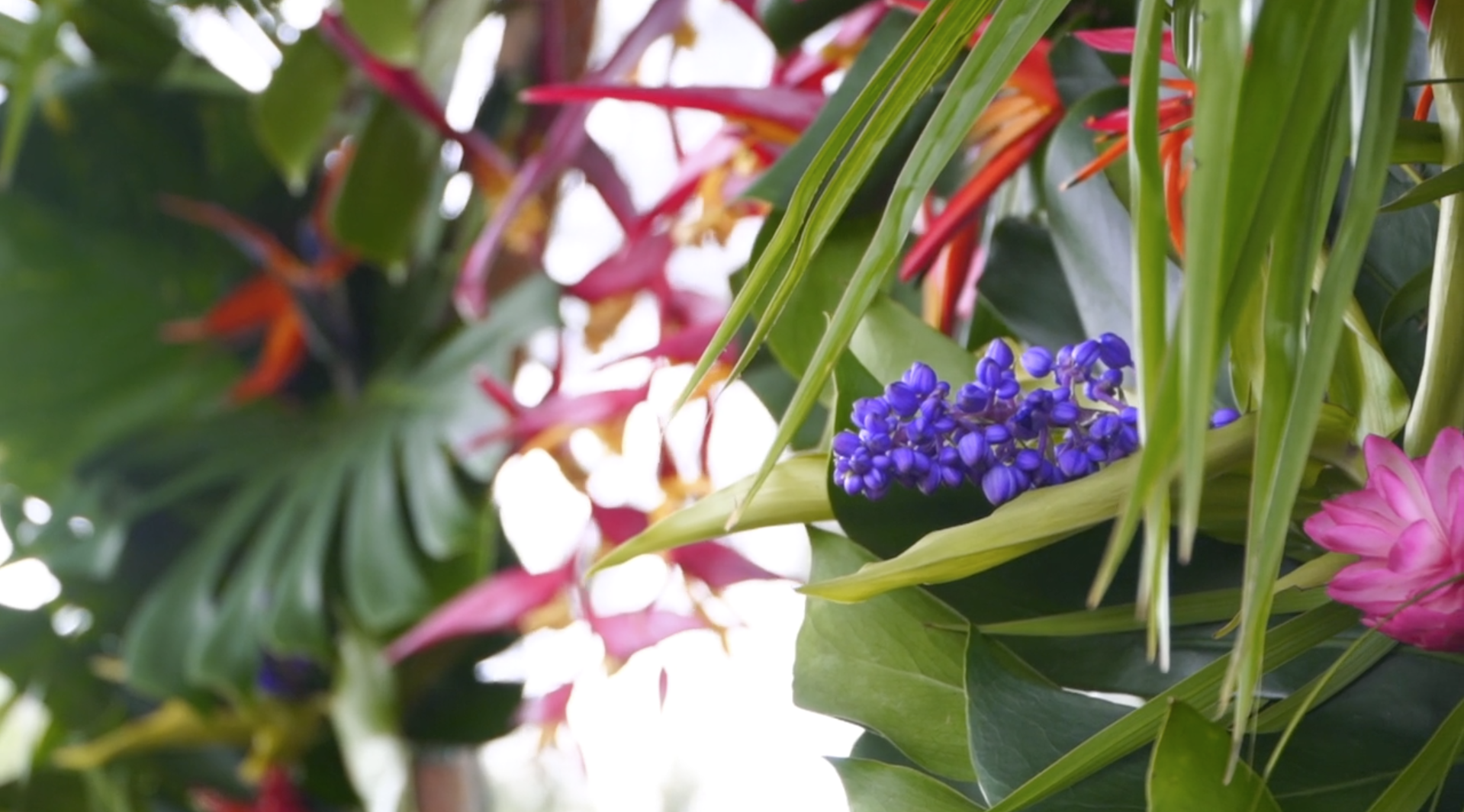 Tropical Wedding Decor // Flowers