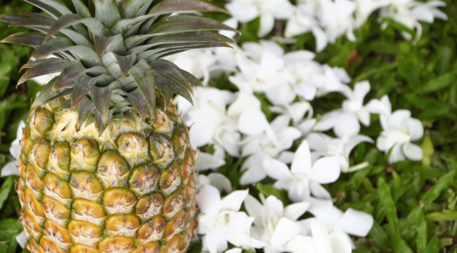 Pineapple wedding decor // Kauai