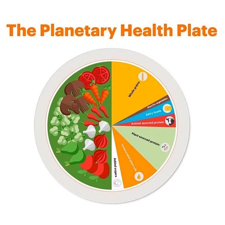 Healthy Bodies, Healthy Planet