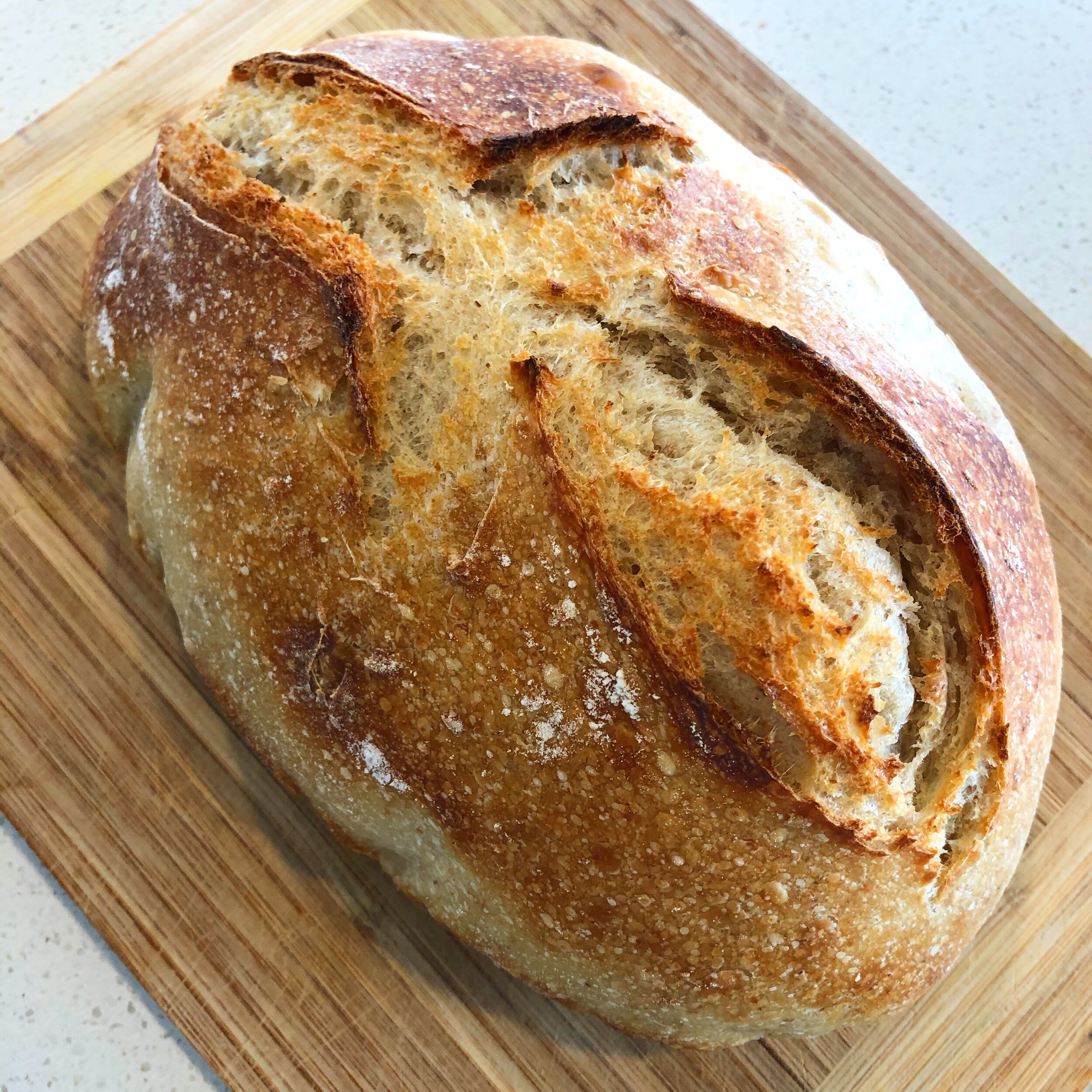 Homemade Sourdough
