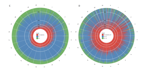 data science of war.png