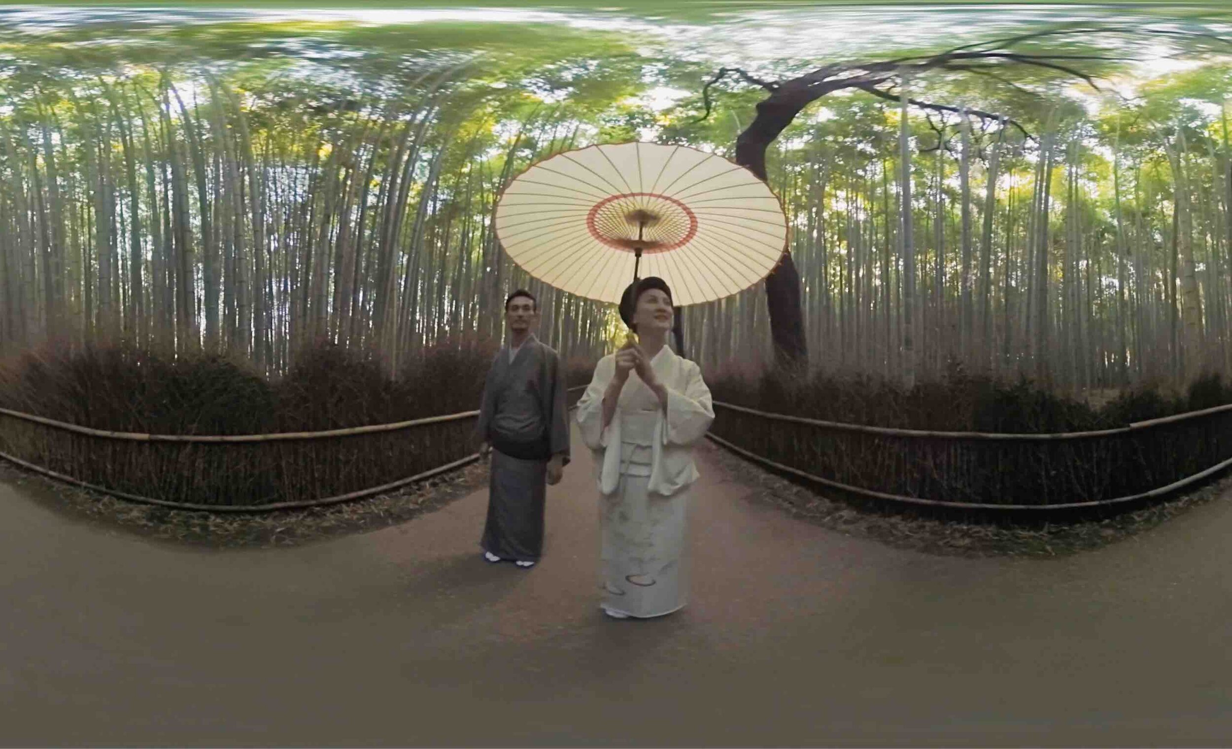 japanvr02.jpg