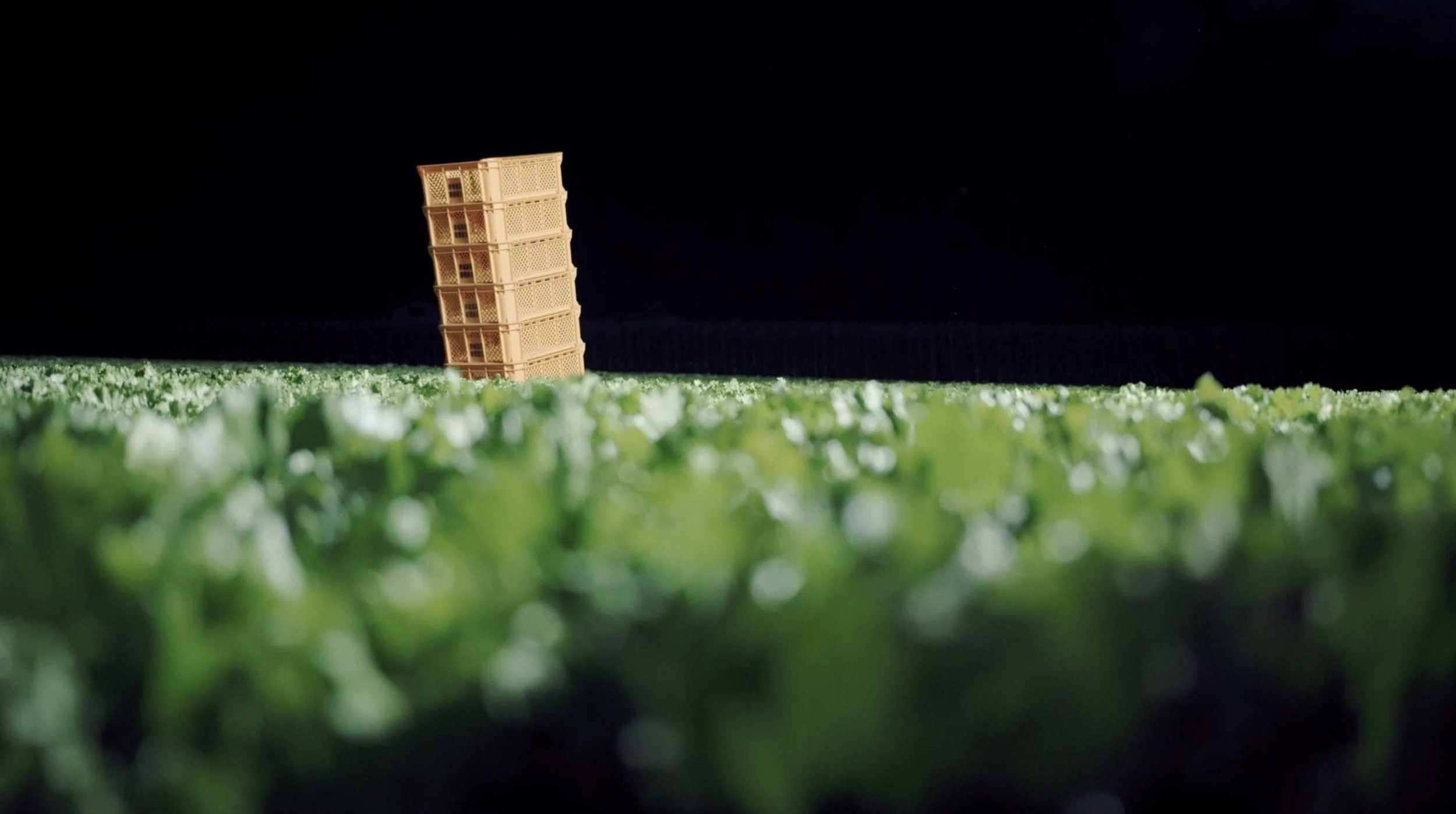 FARMER01.jpg