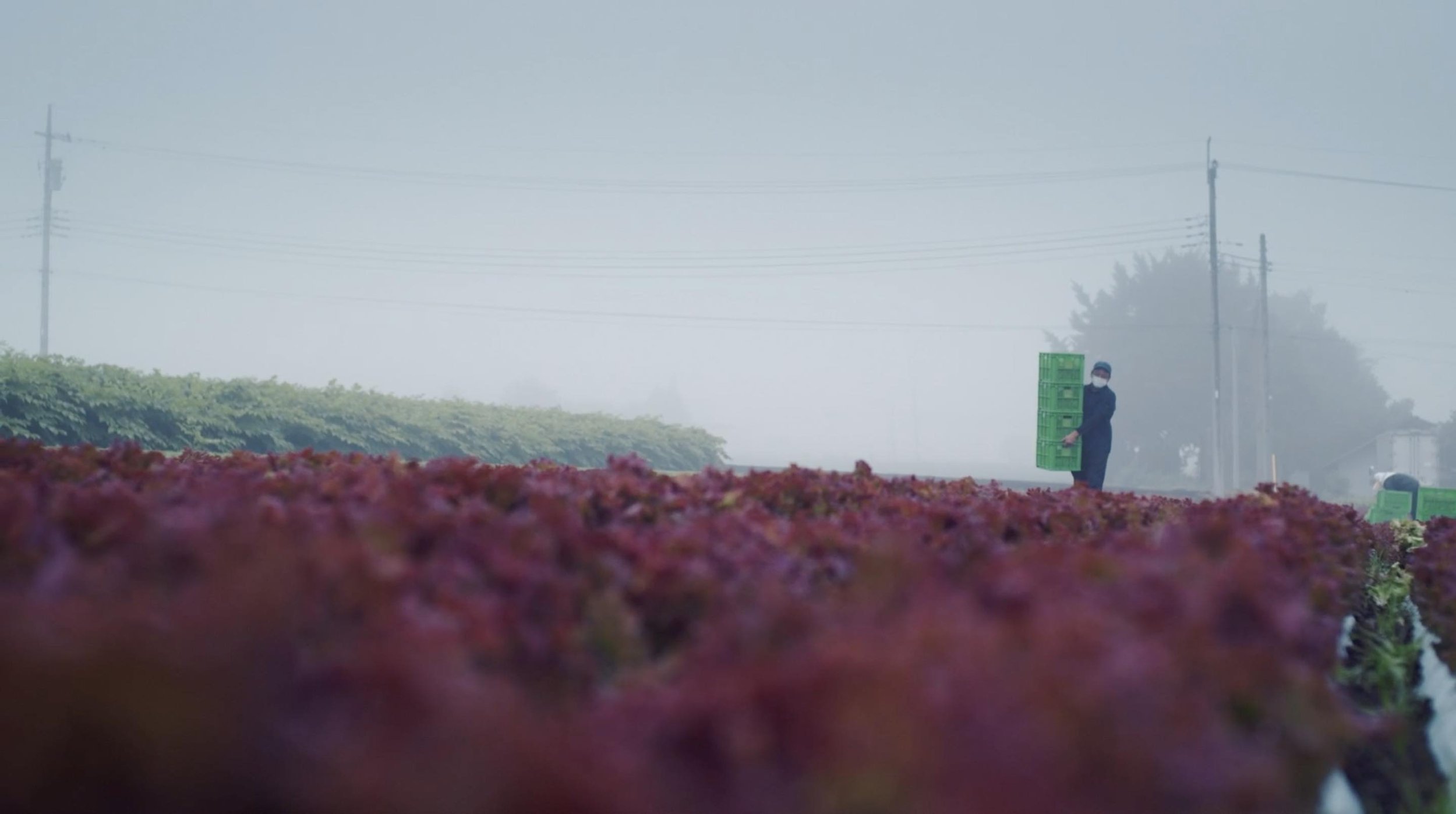 FARMER06.jpg