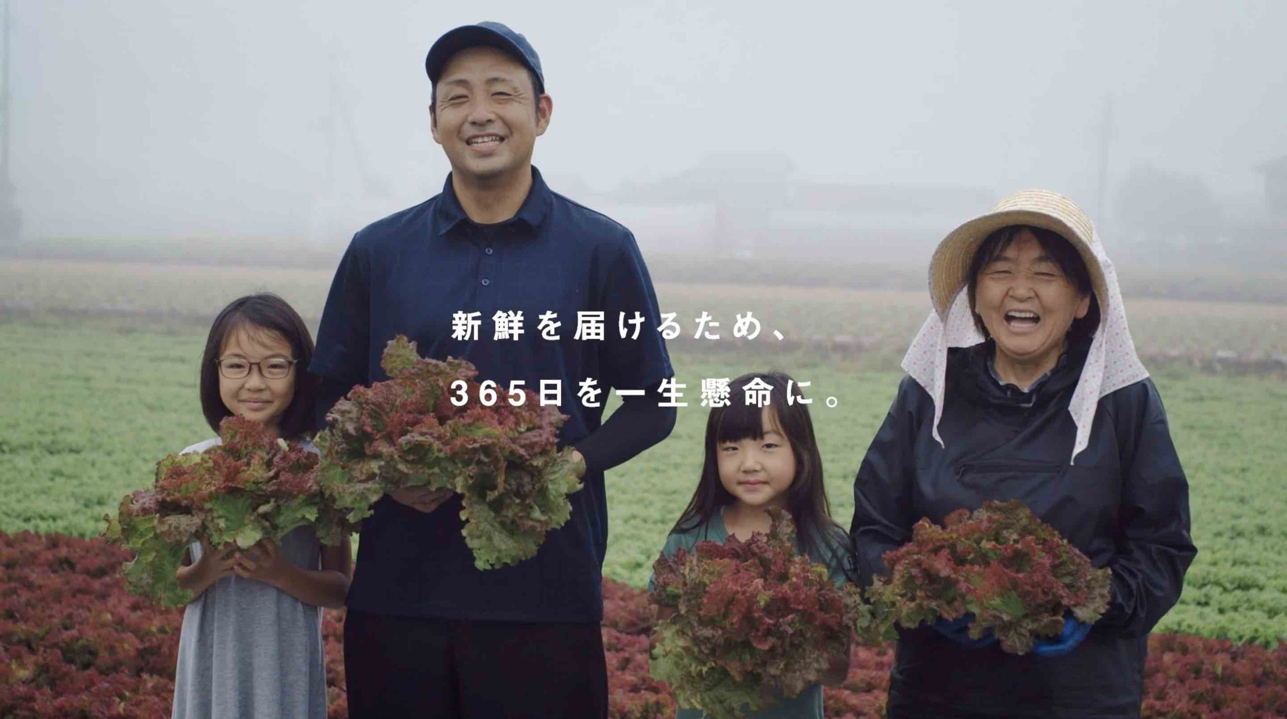 FARMER19.jpg