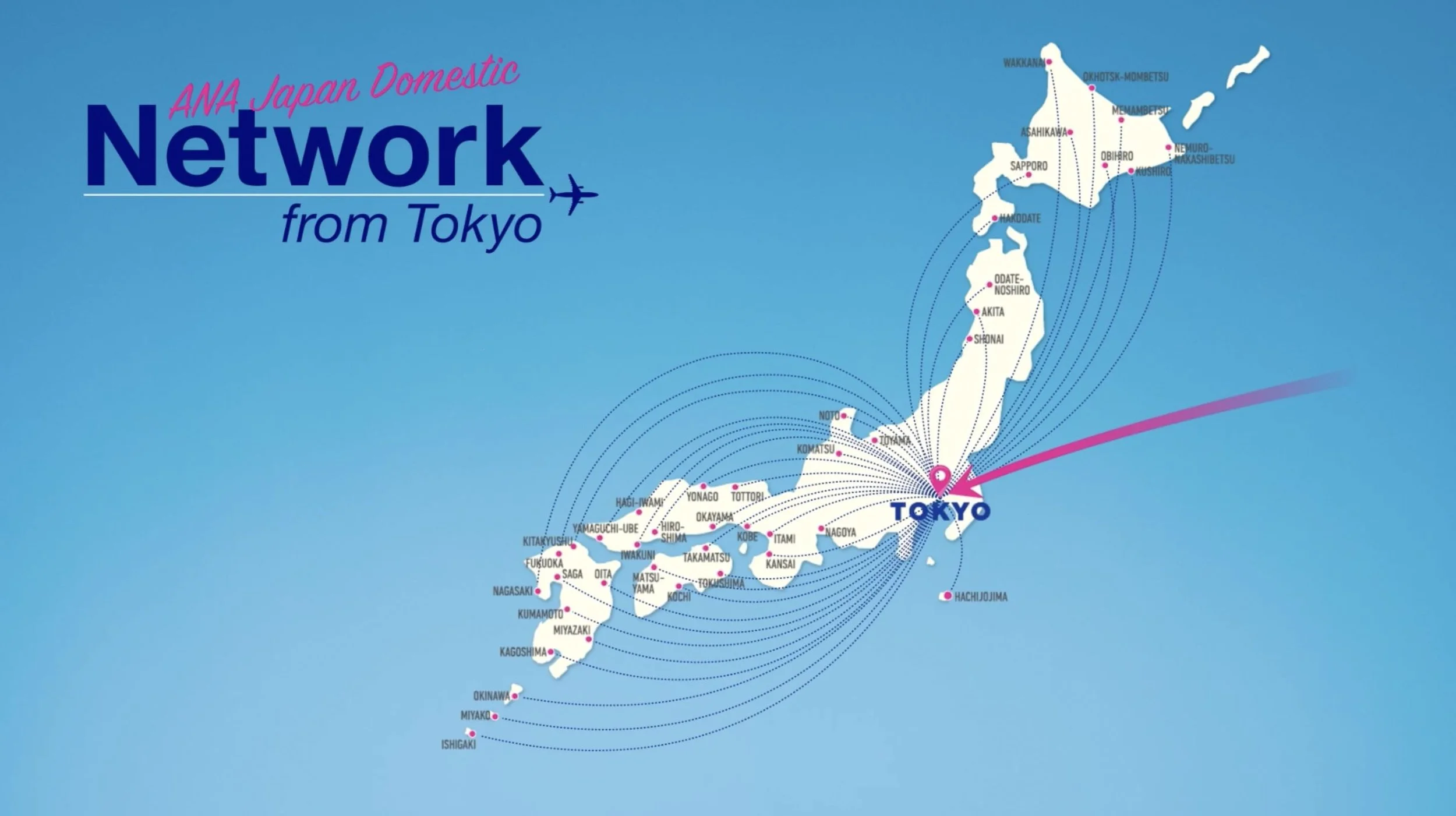 ANA_Network06.jpg