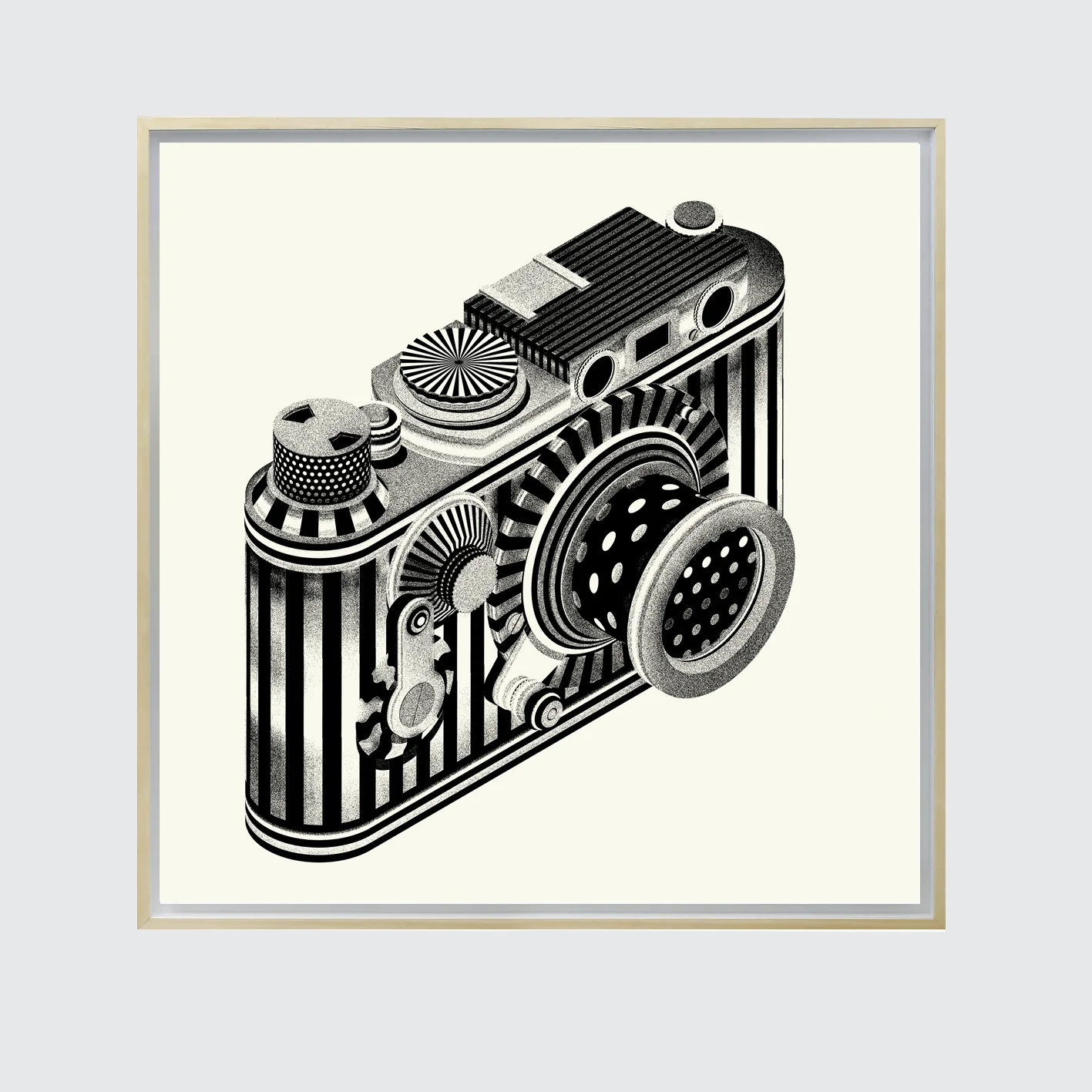 leica frame.jpg