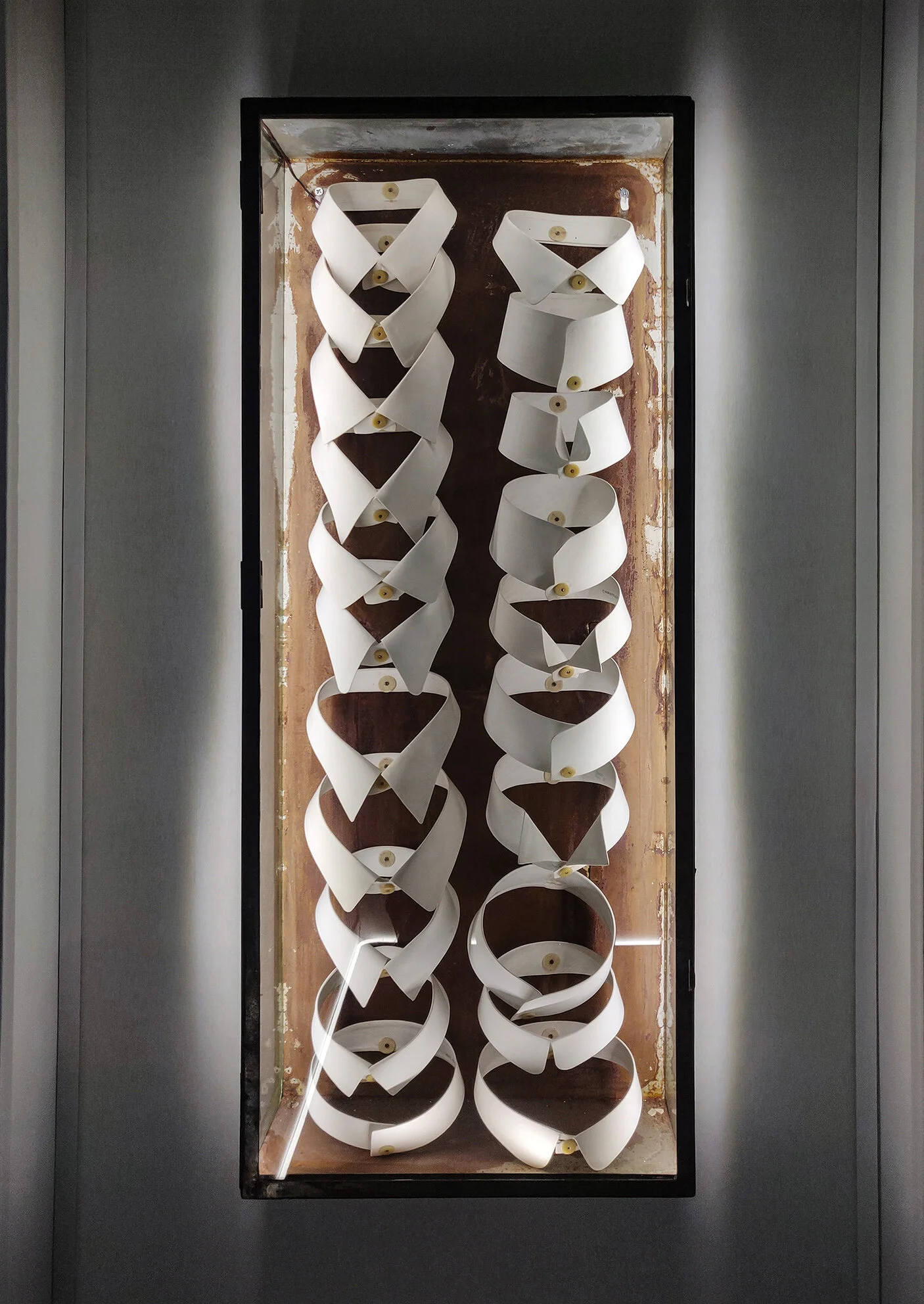 shirt collars.jpg