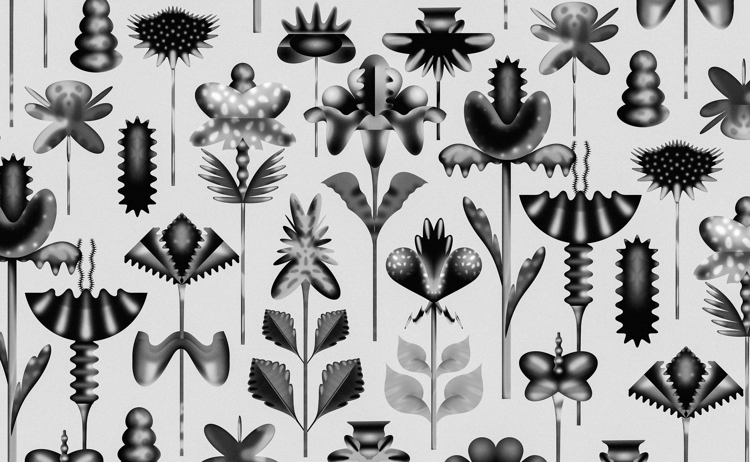 black and white flowers.jpg