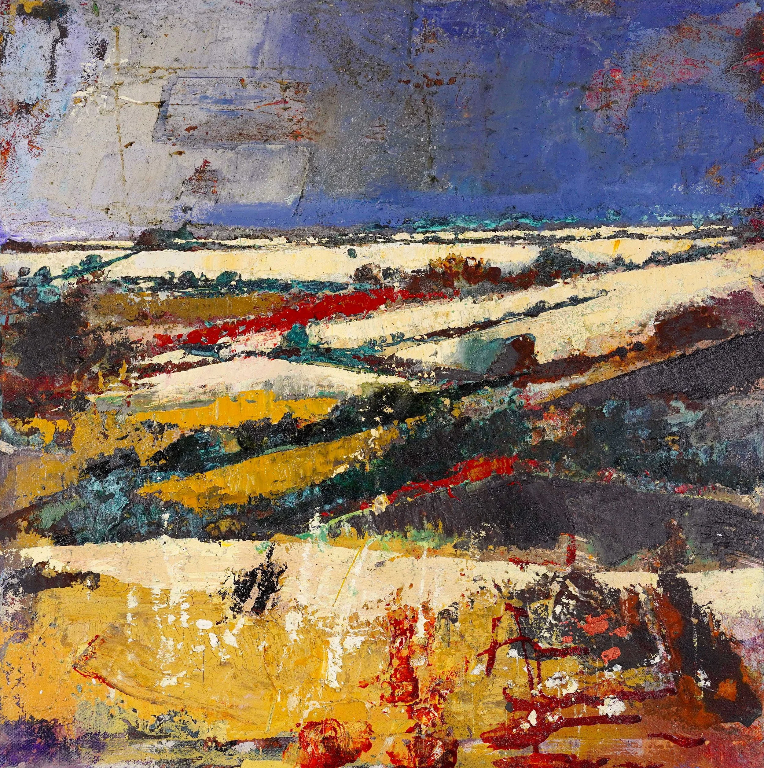 Fields of Gold - Cotswolds