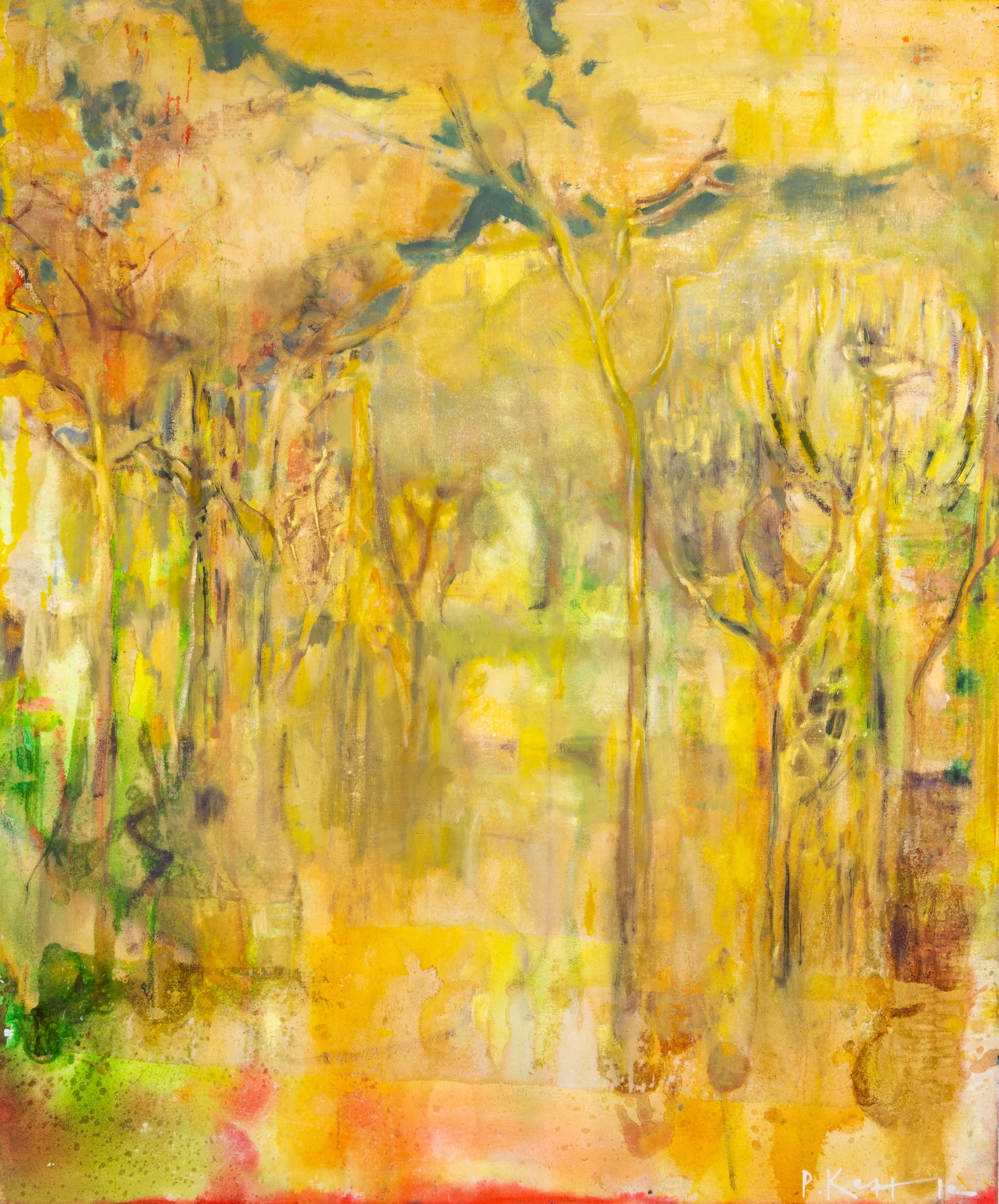 Giraffes Among Acacia, Amboseli Savannah