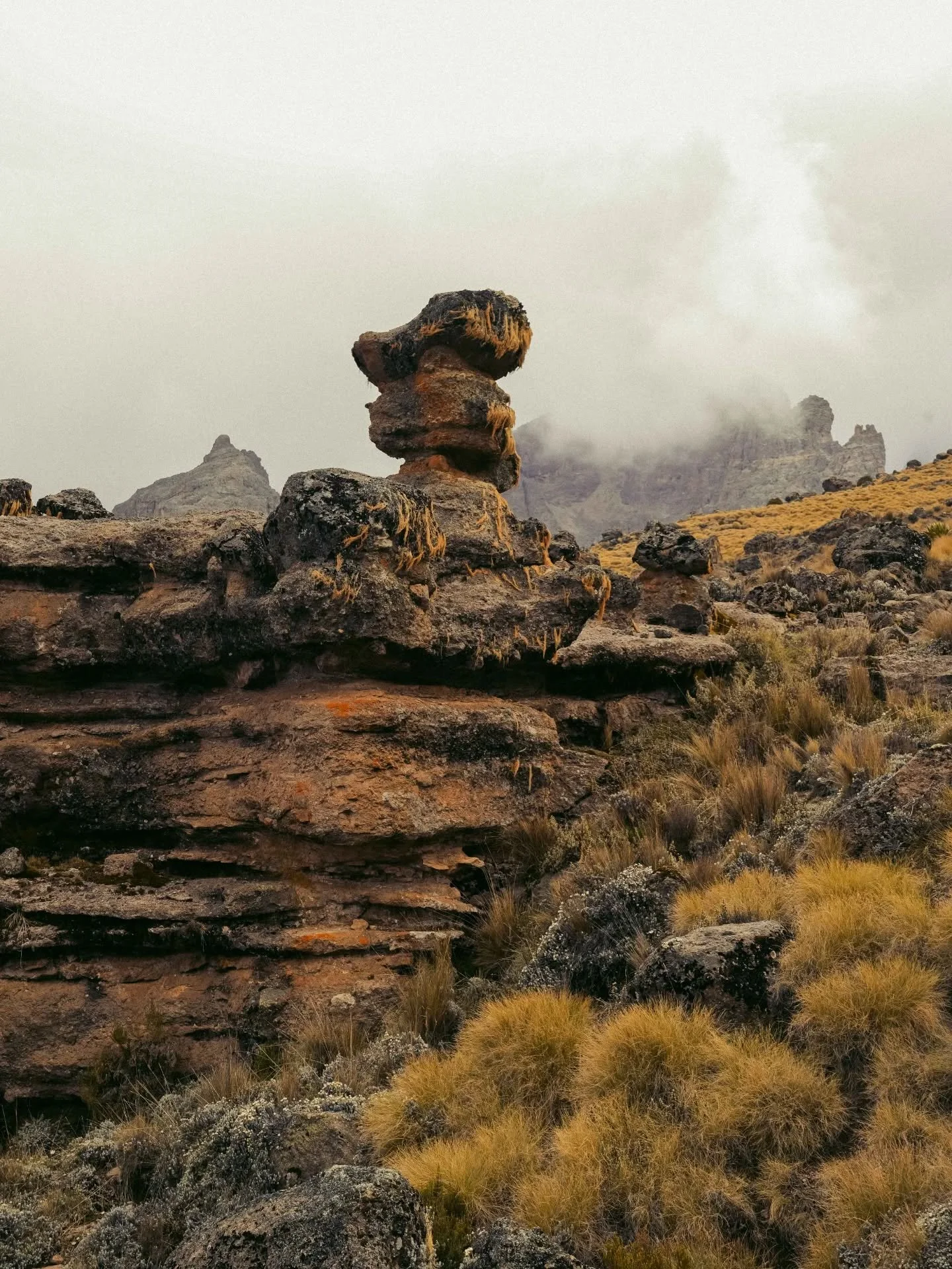 Chogoria Route - Ellis > Mintos Camp

Striking rock formations on the slopes of Mt. Kenya near Lake Michaelson on Mount Kenya, but the Kikuyu name for the lake is&nbsp;Iria rīa Ngai (the lake of god) 

These &ldquo;mushroom&rdquo; rocks are shaped