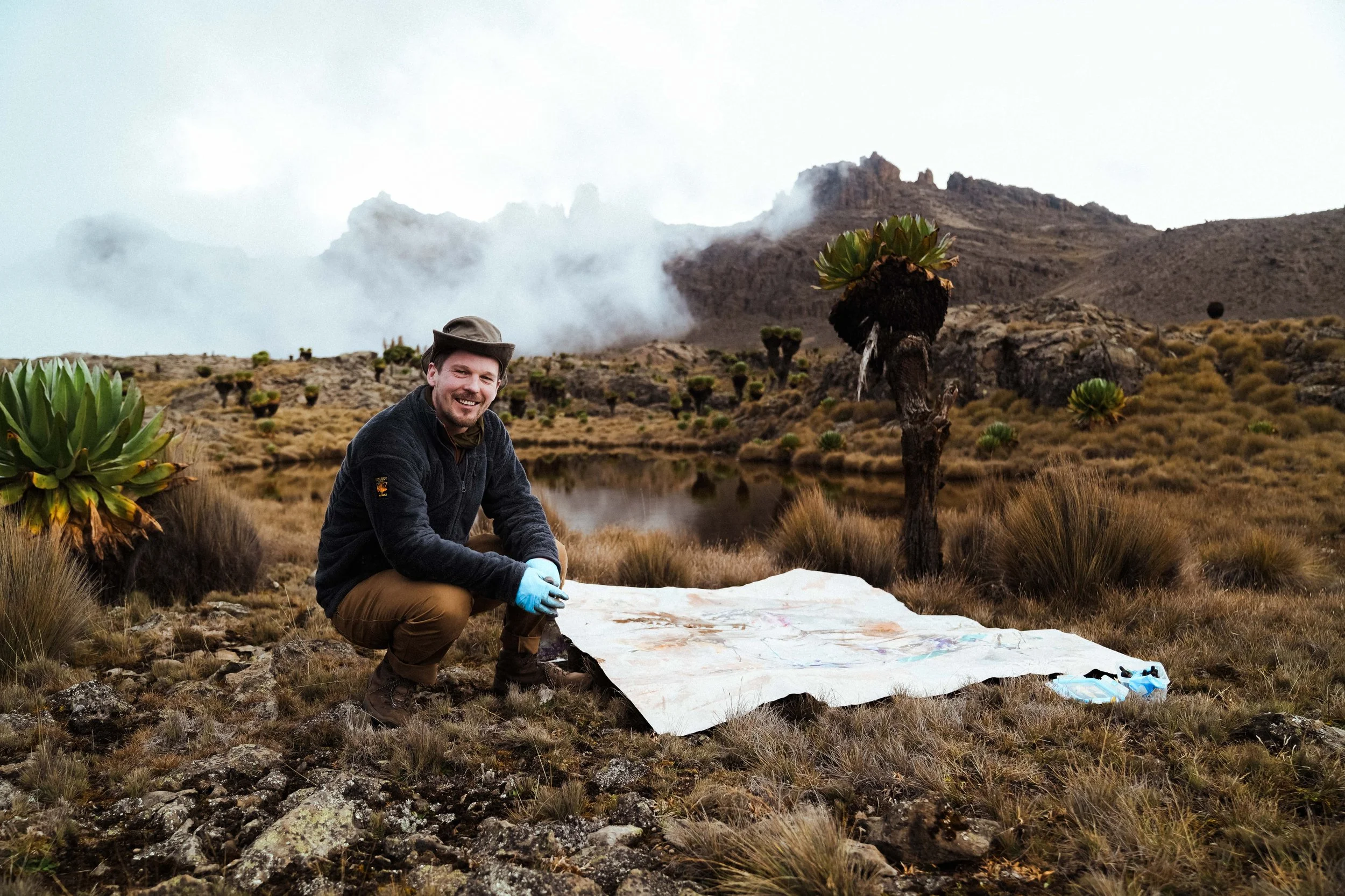 Artist Peter Kettle painting outdoors among giant groundsels in the high alpine landscape of Mount Kenya.