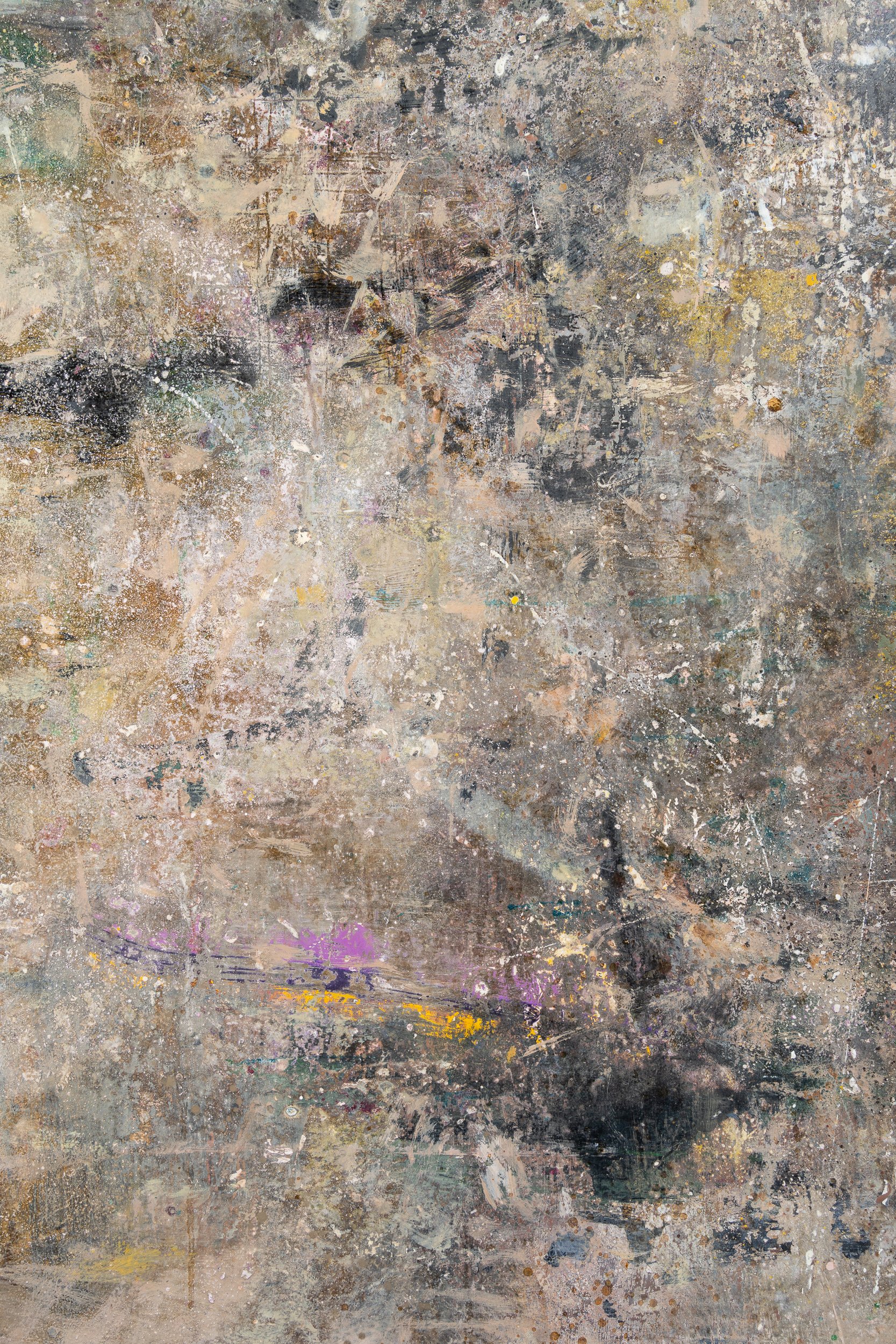 Pacific-Rim-closeup2-peter-kettle.jpg