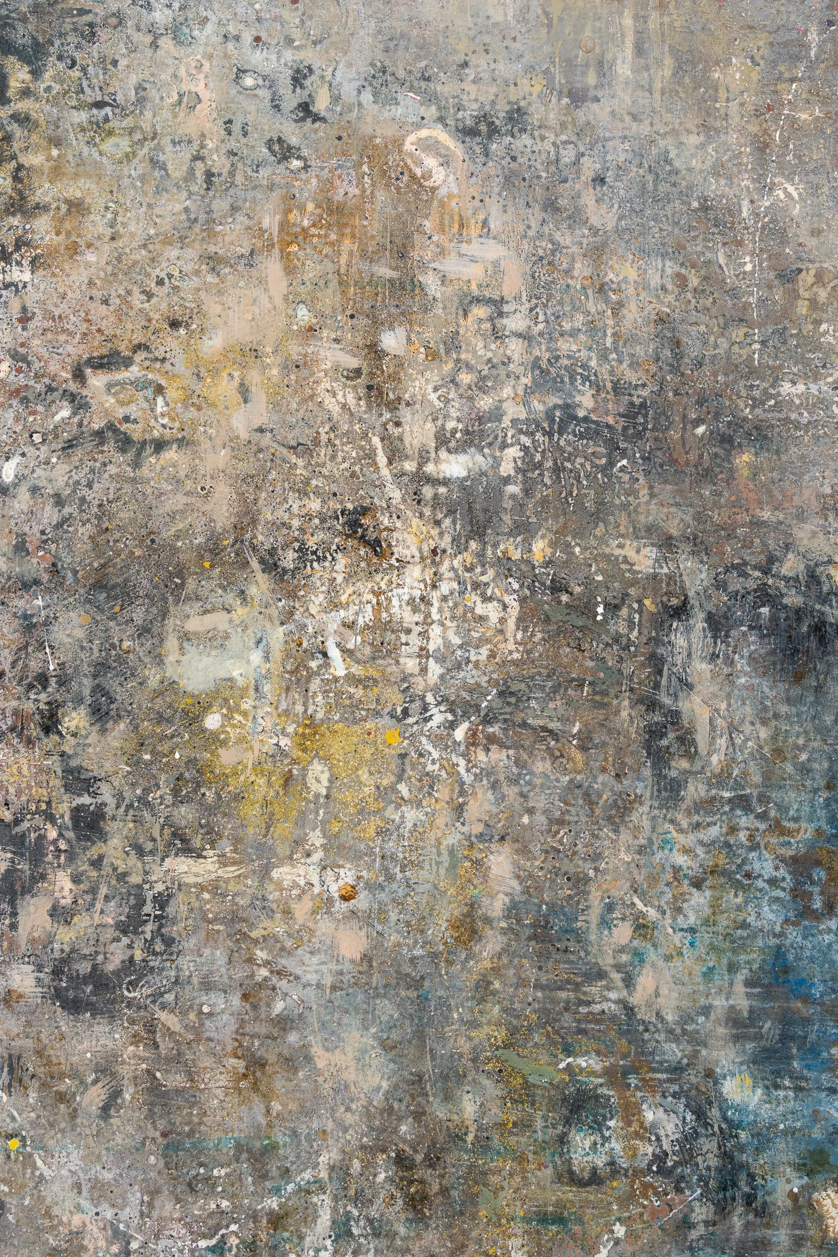 Pacific-Rim-closeup3-peter-kettle.jpg