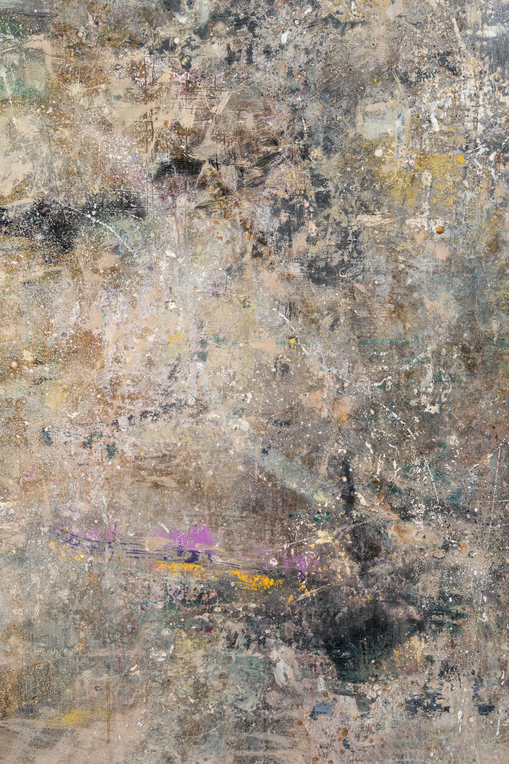 Pacific-Rim-closeup2-peter-kettle.jpg