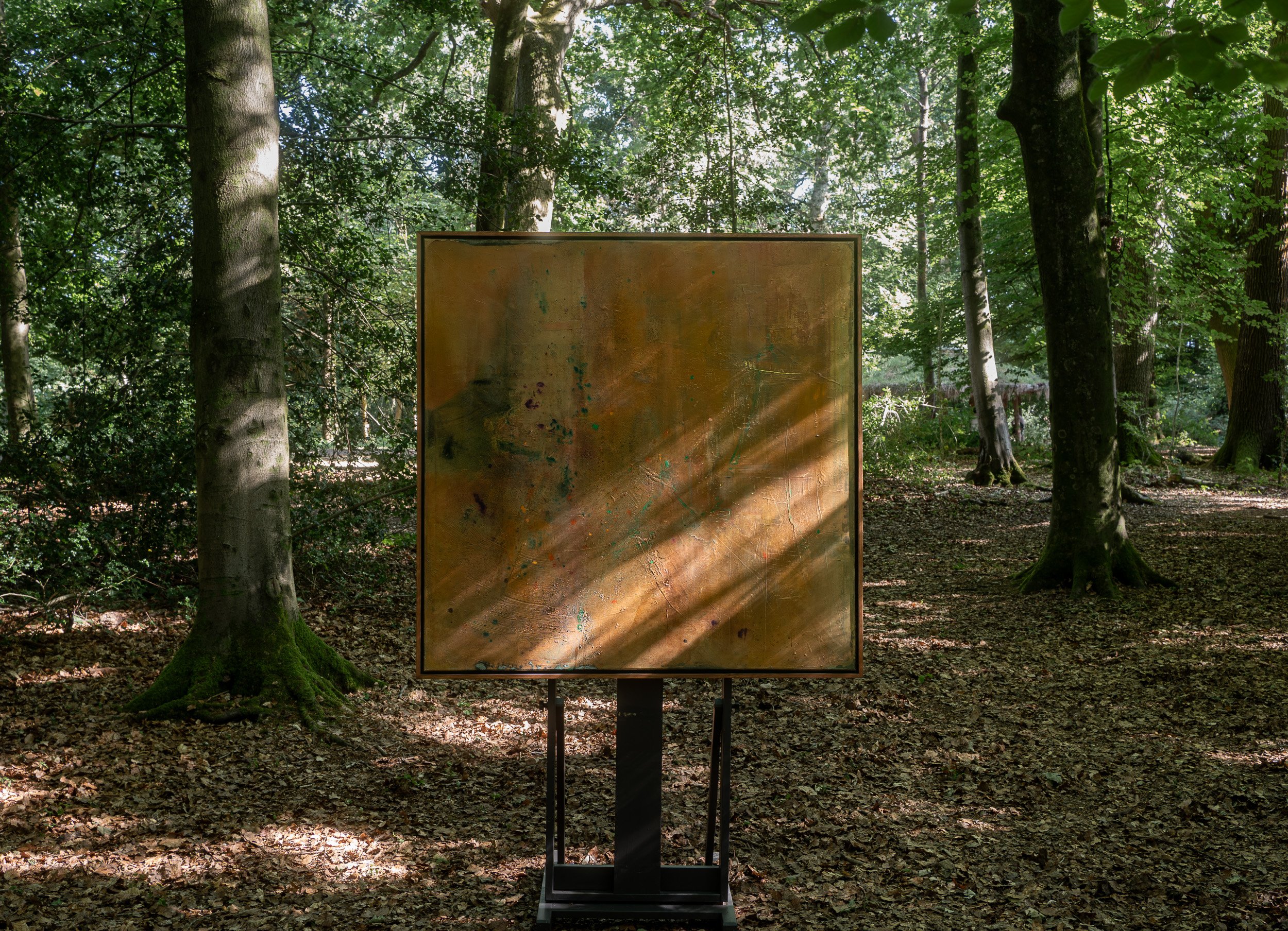 Between the Pines (forest).web.jpg