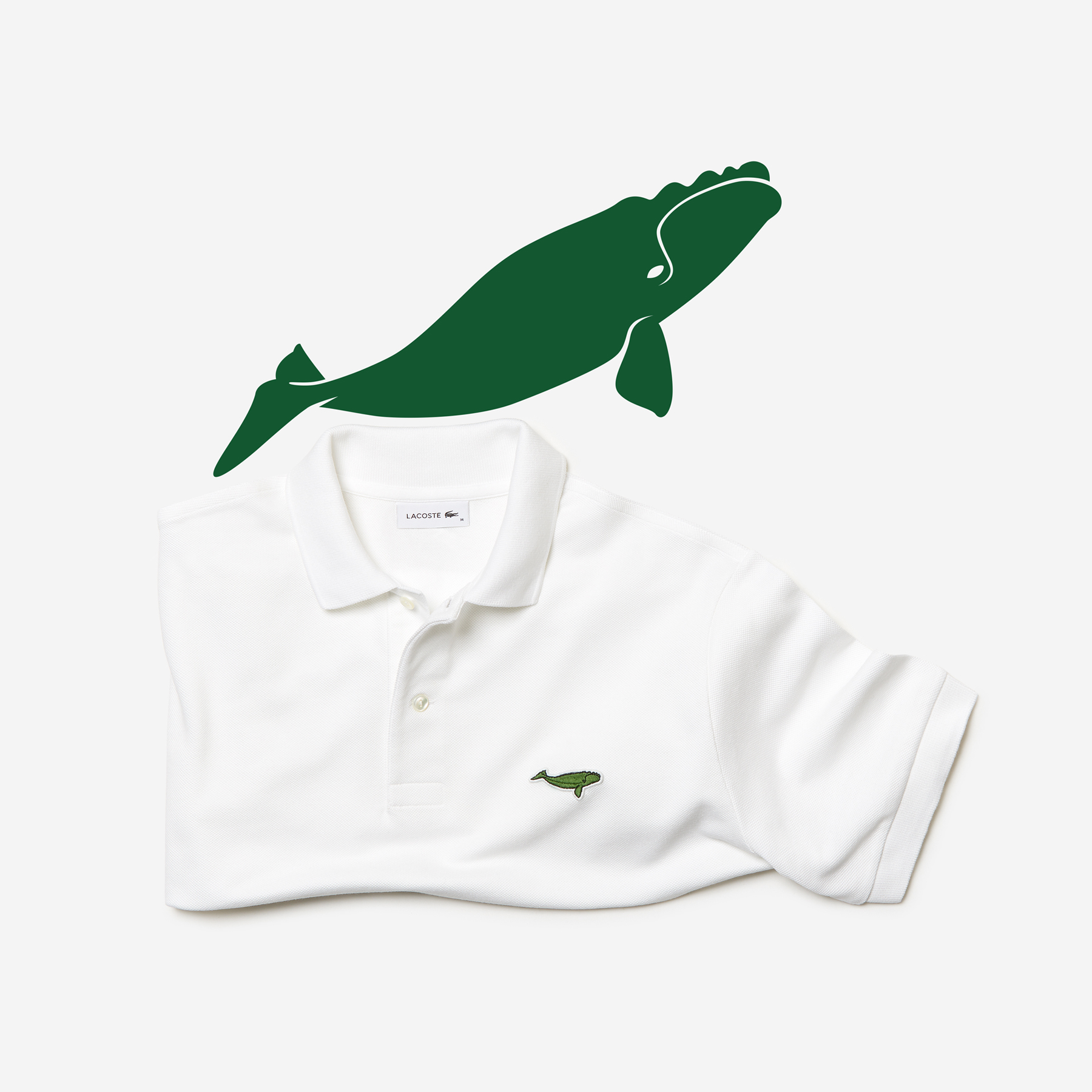 tuberkulose etc Vælge Lacoste x Save Our Species (IUCN) — SSI Life