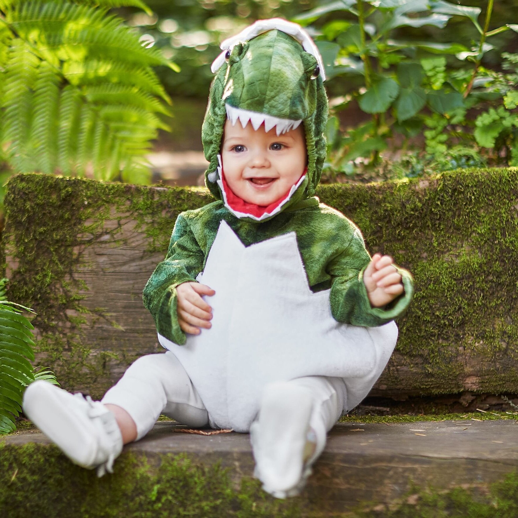 dinosaur egg baby costume