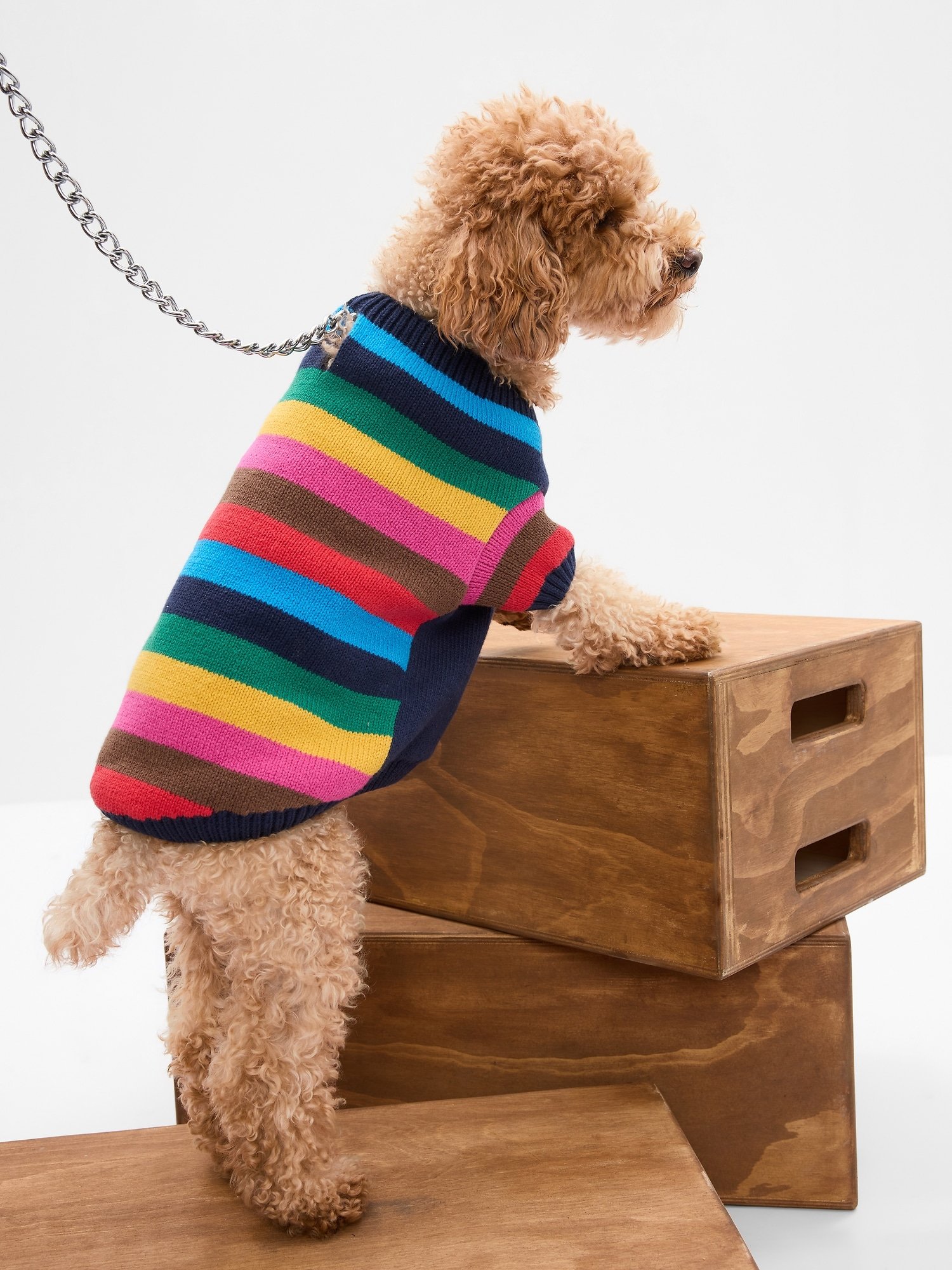 GAP Happy Stripes Dog Sweater P2450.jpg